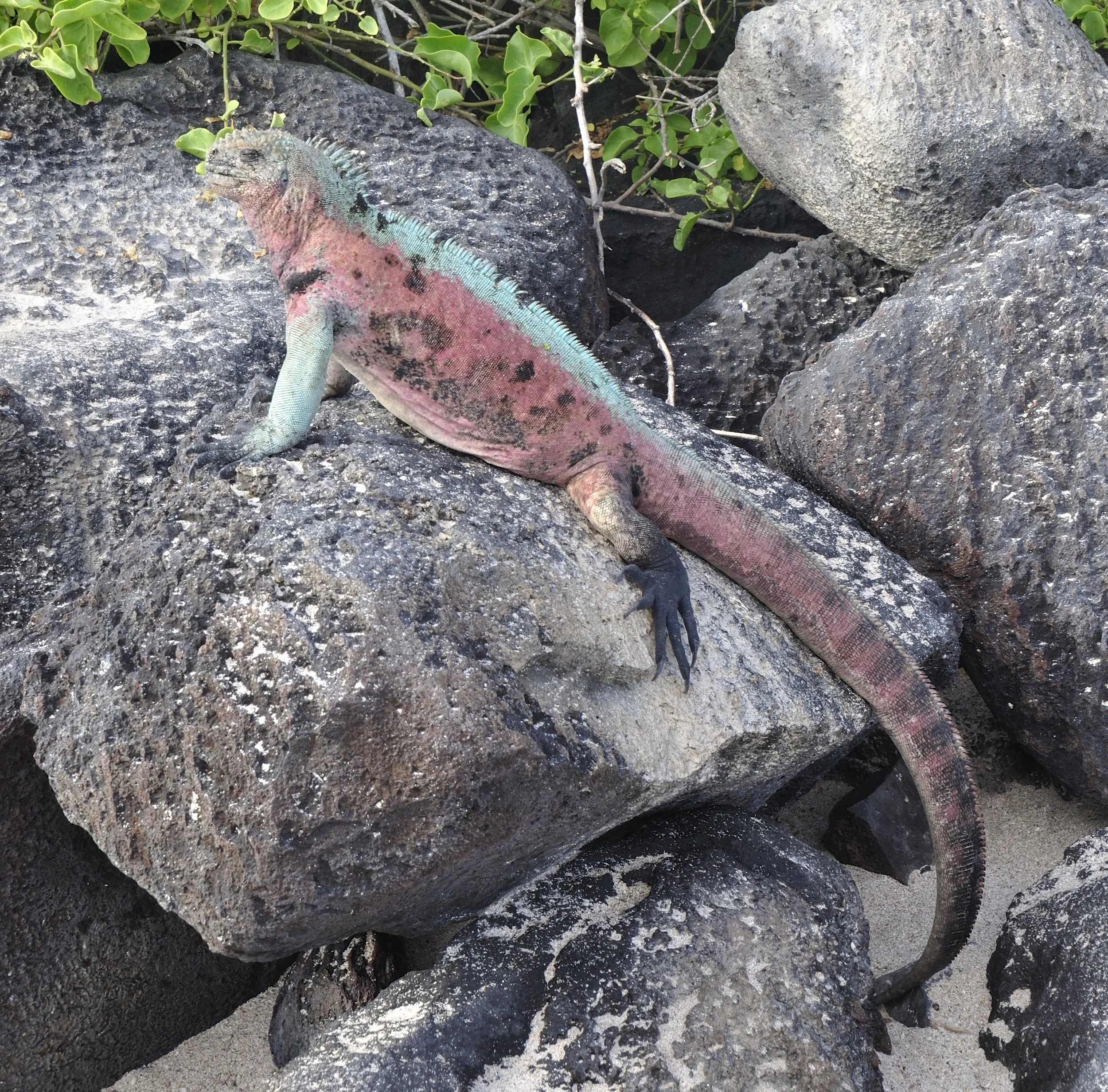 Driving business value starts with strategic decisions not initiatives