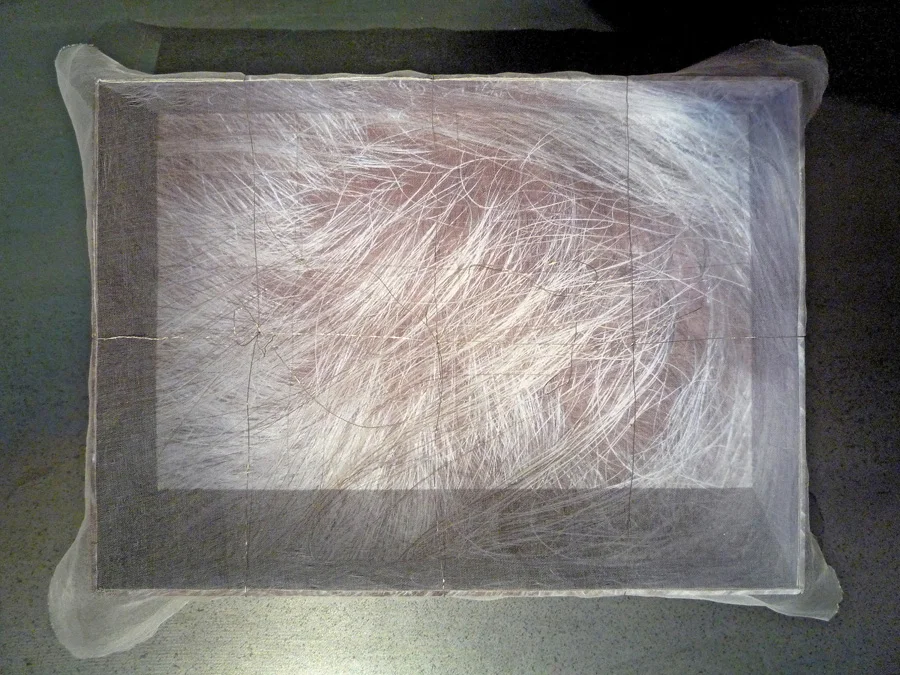 Reliquary gray hair