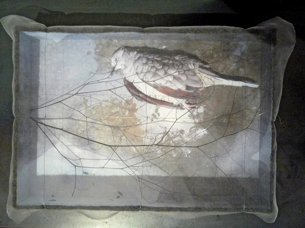 Reliquary dove