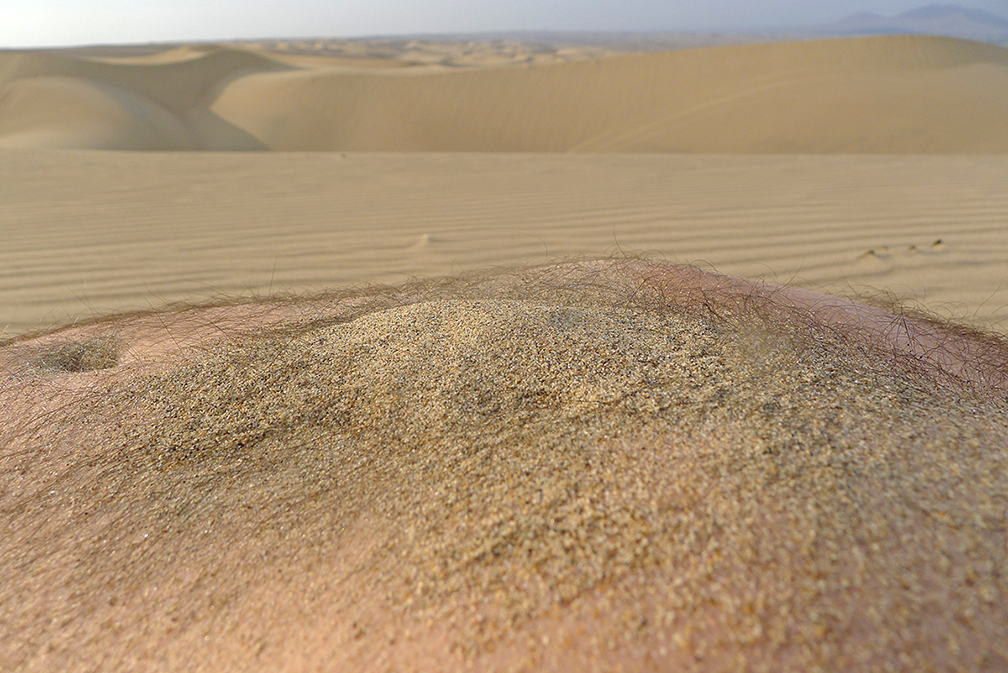 Landscape and other intimate things