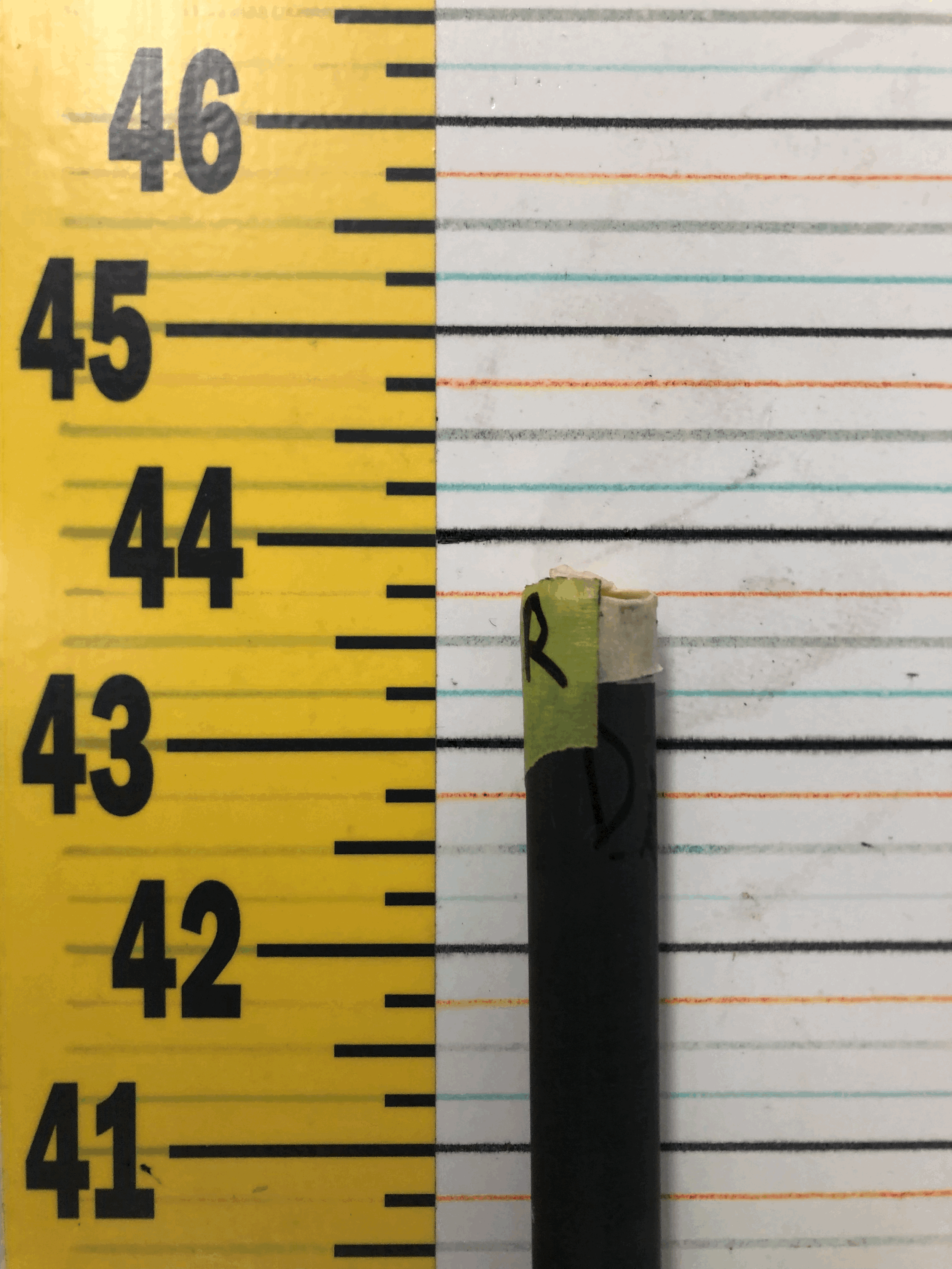tempImageL1IjOH.gif