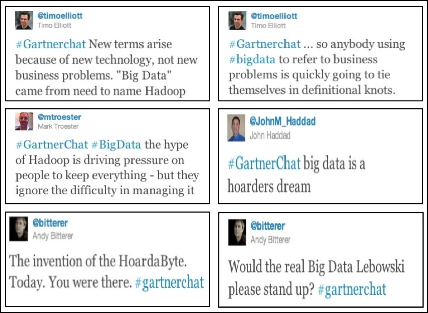 Gartnet Chat on Big Data 2.jpg