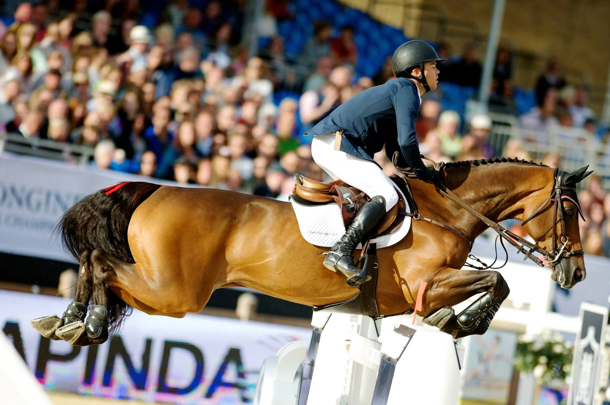 Kent Farrington and Voyeur