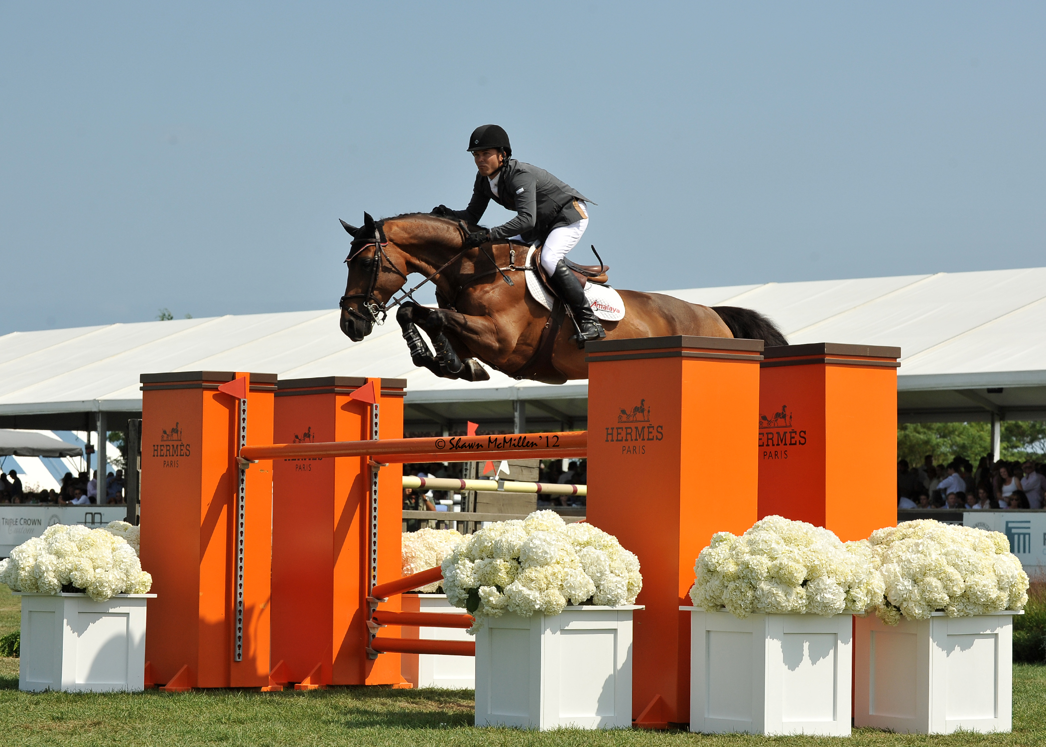 Kent Farrington and Voyeur