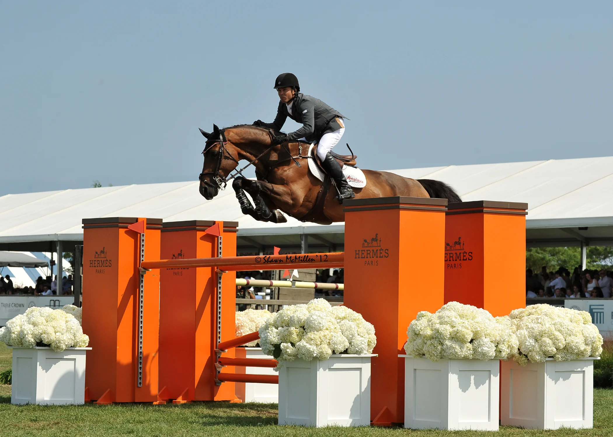 Kent Farrington and Voyeur