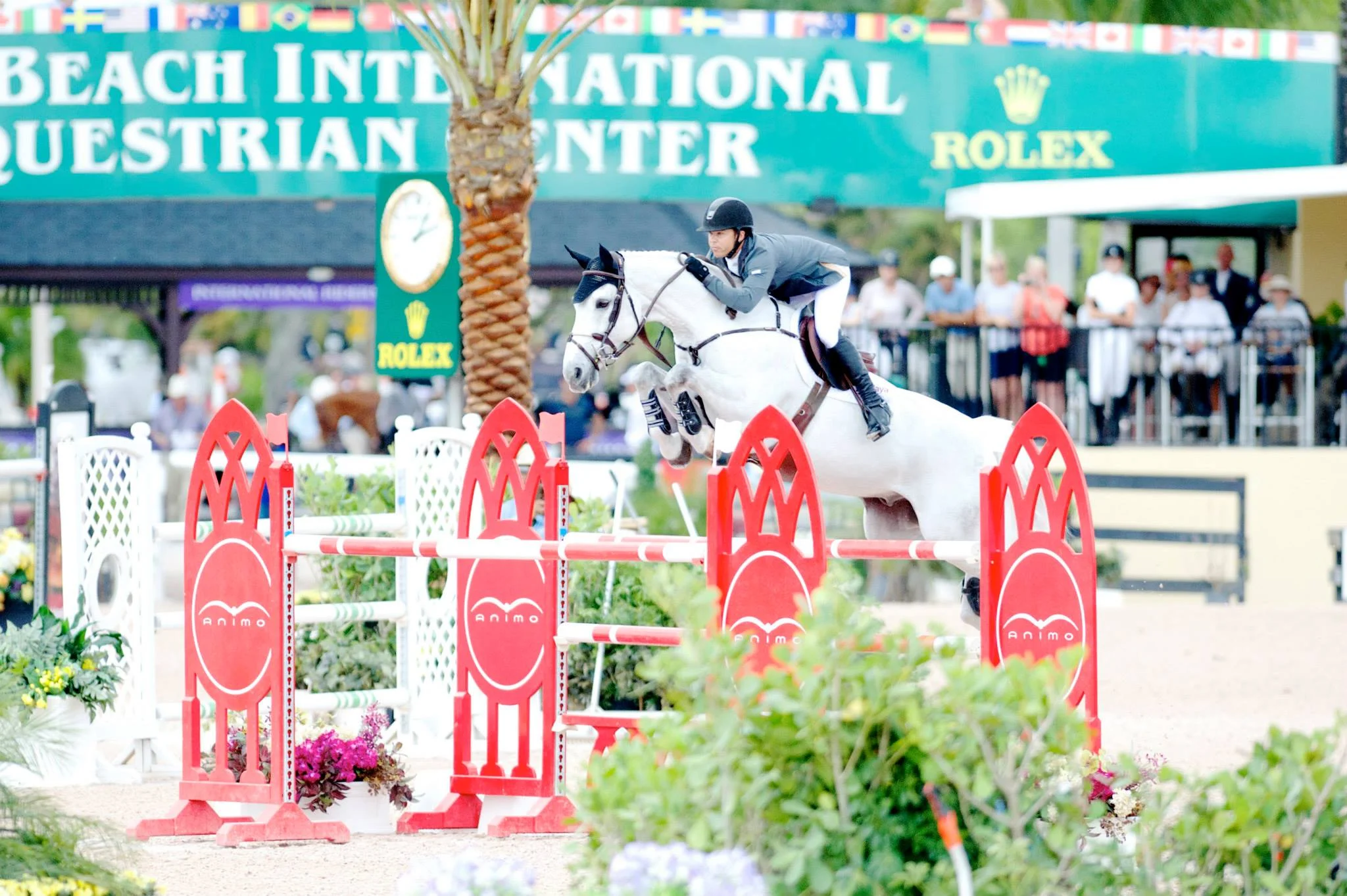Kent Farrington and Willow