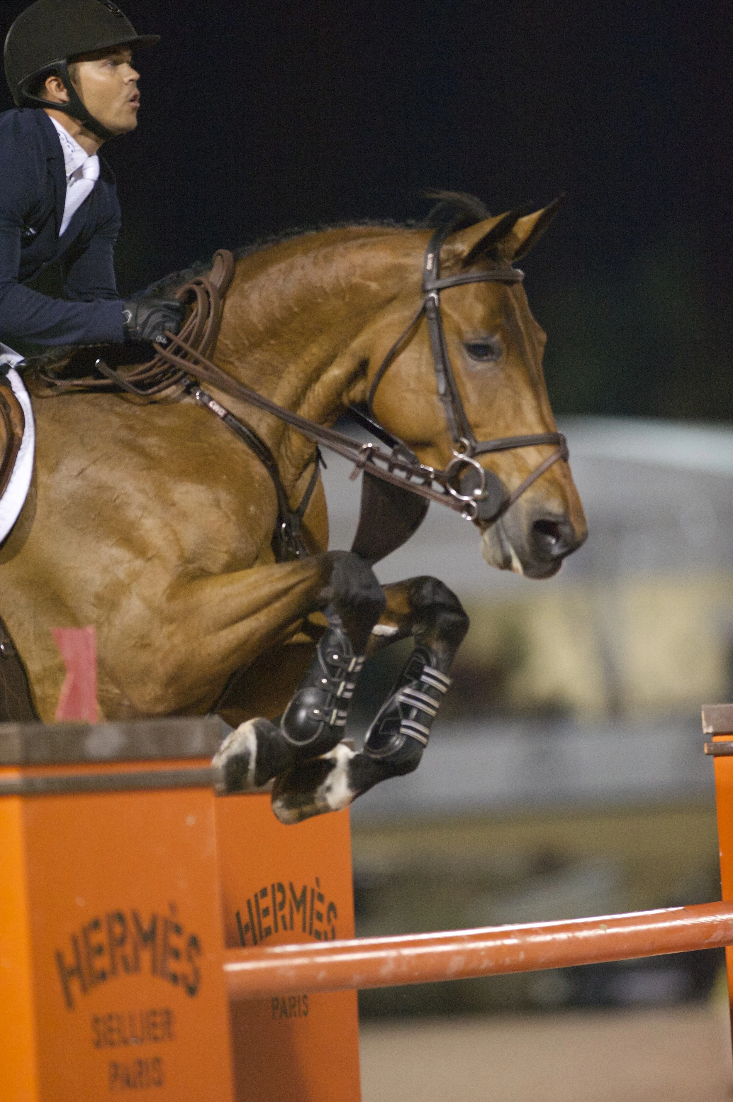 Kent Farrington and Gazelle