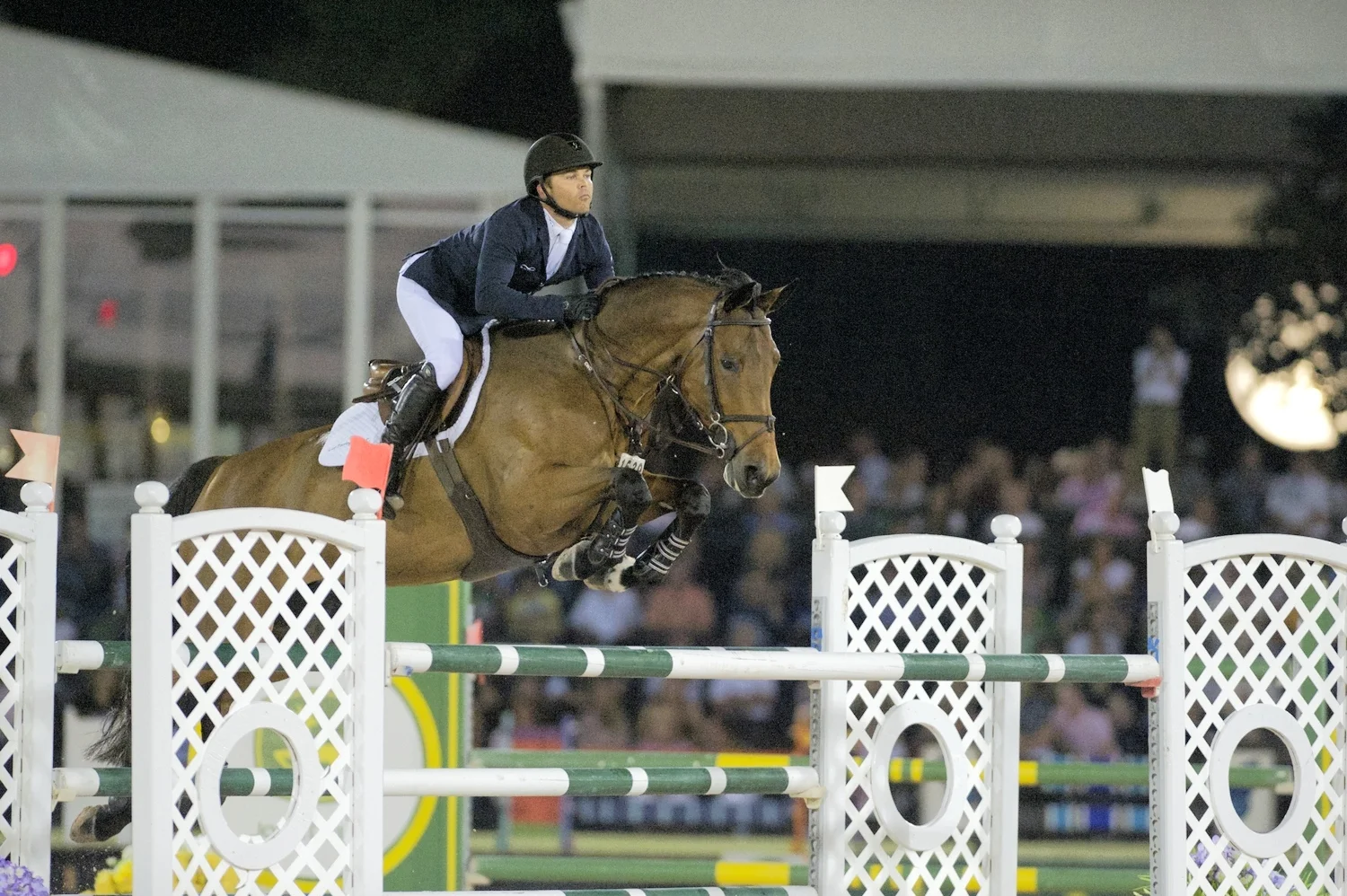 Kent Farrington and Gazelle