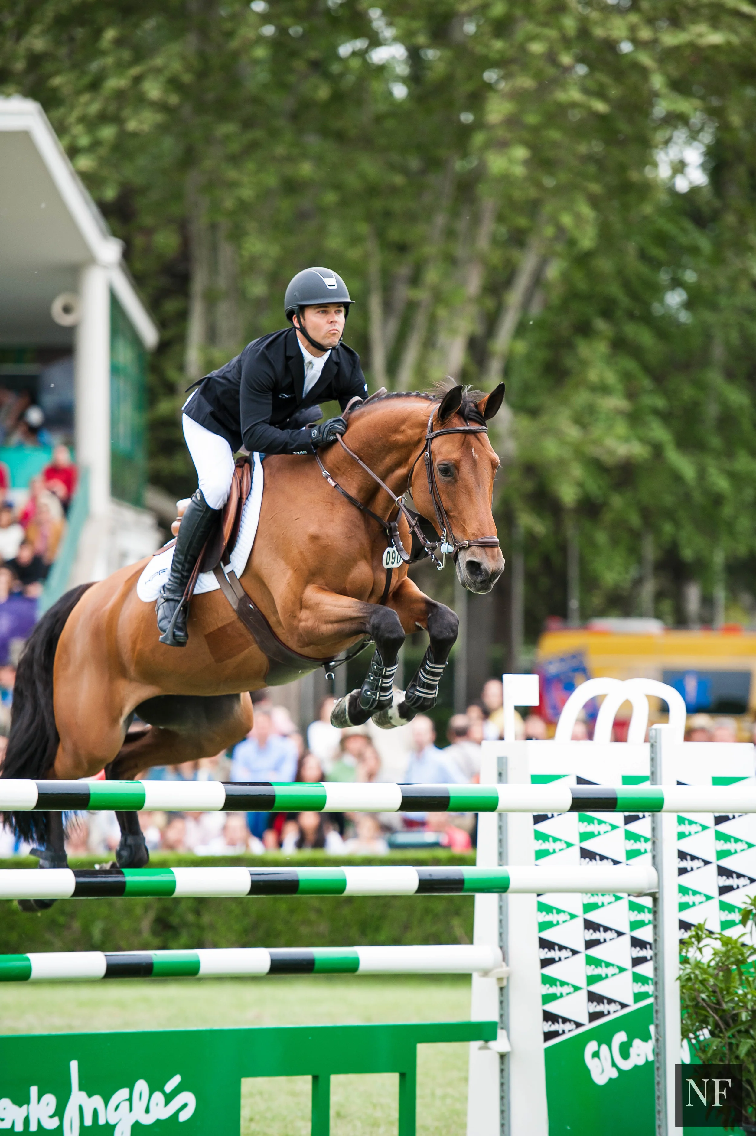 Kent Farrington and Gazelle
