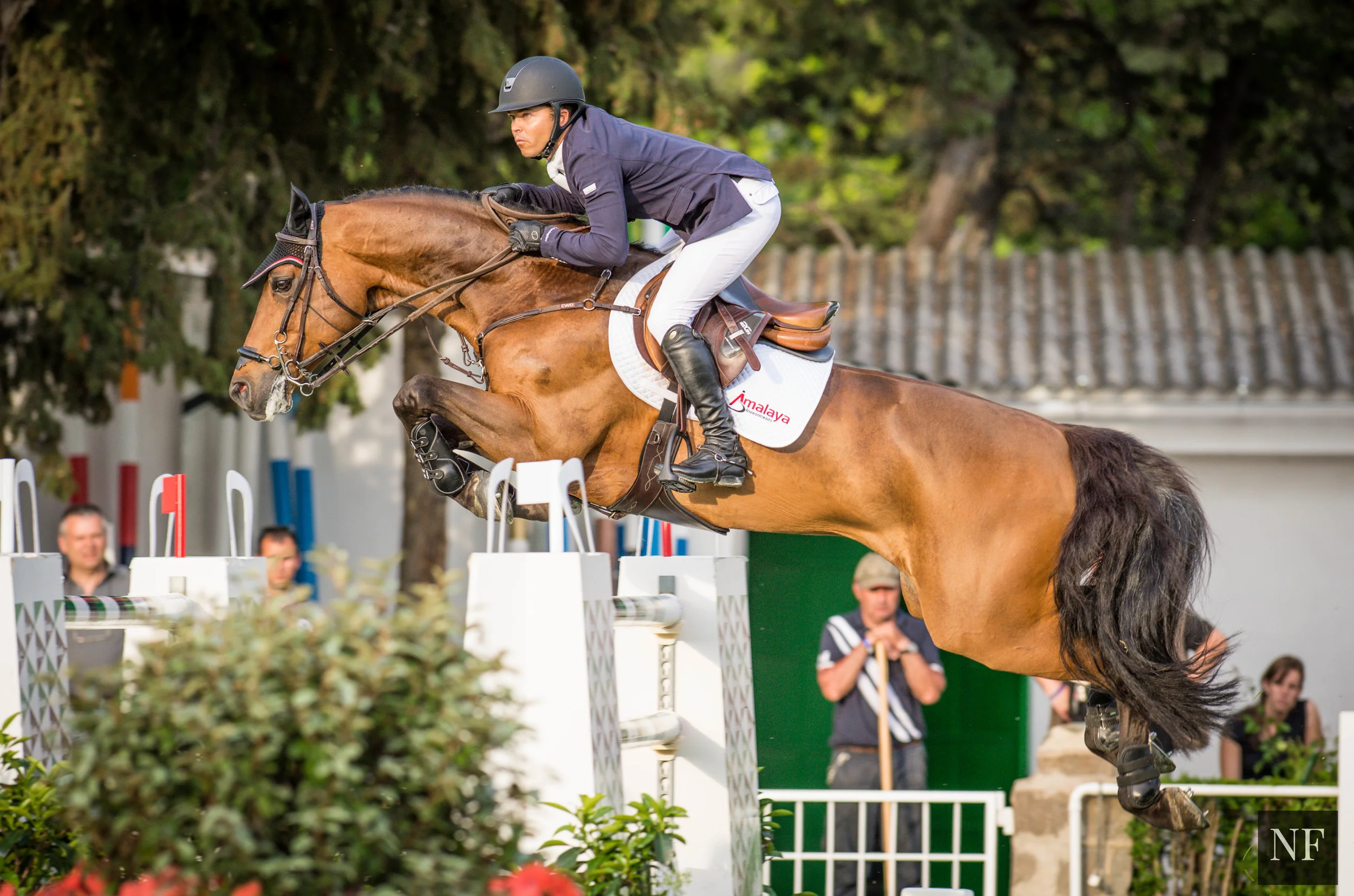 Kent Farrington and Voyeur