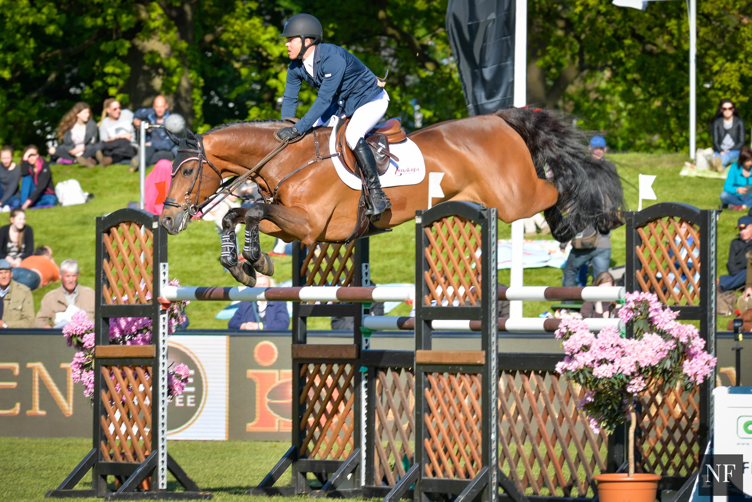 Kent Farrington and Voyeur