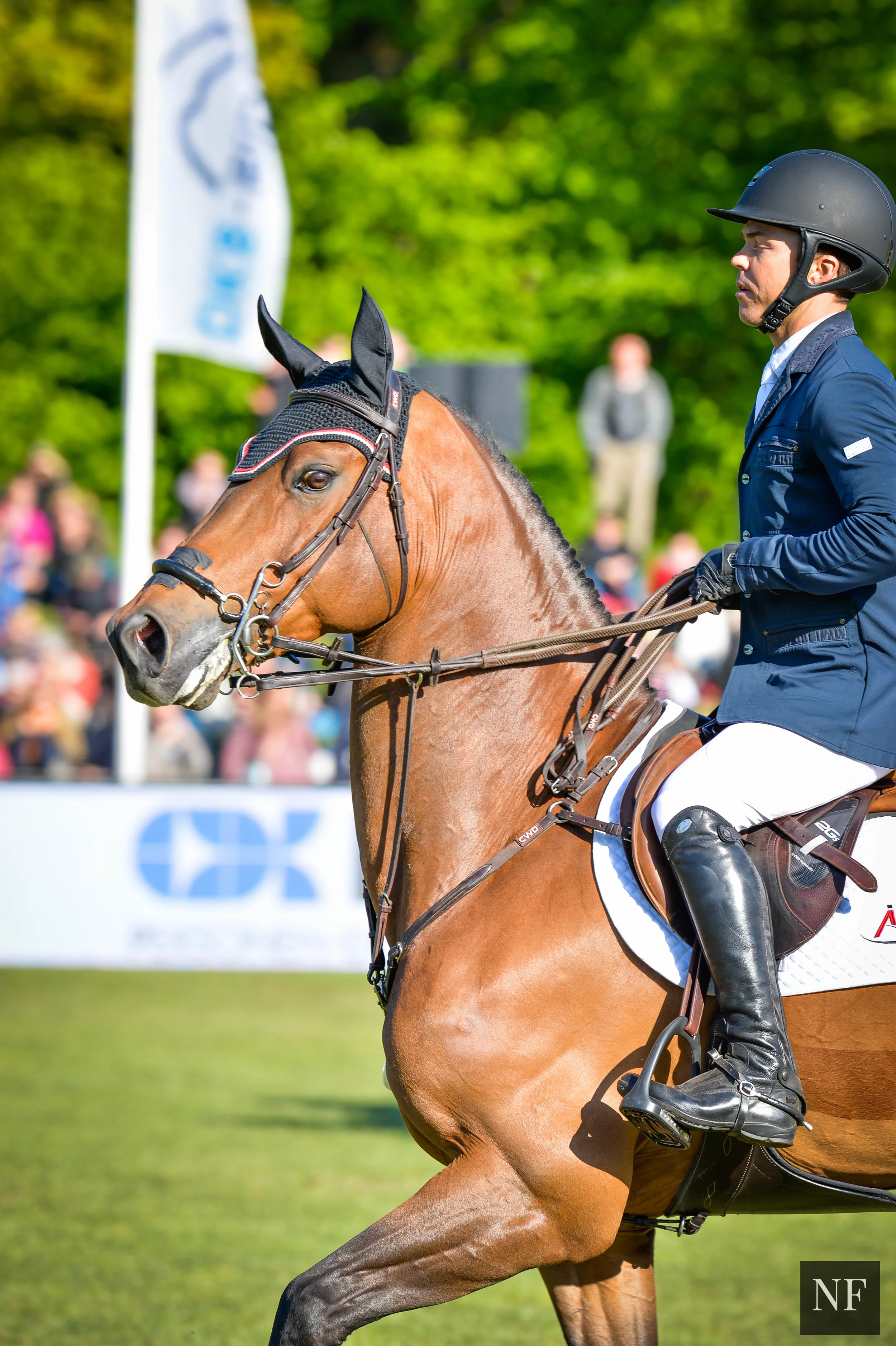 Kent Farrington and Voyeur