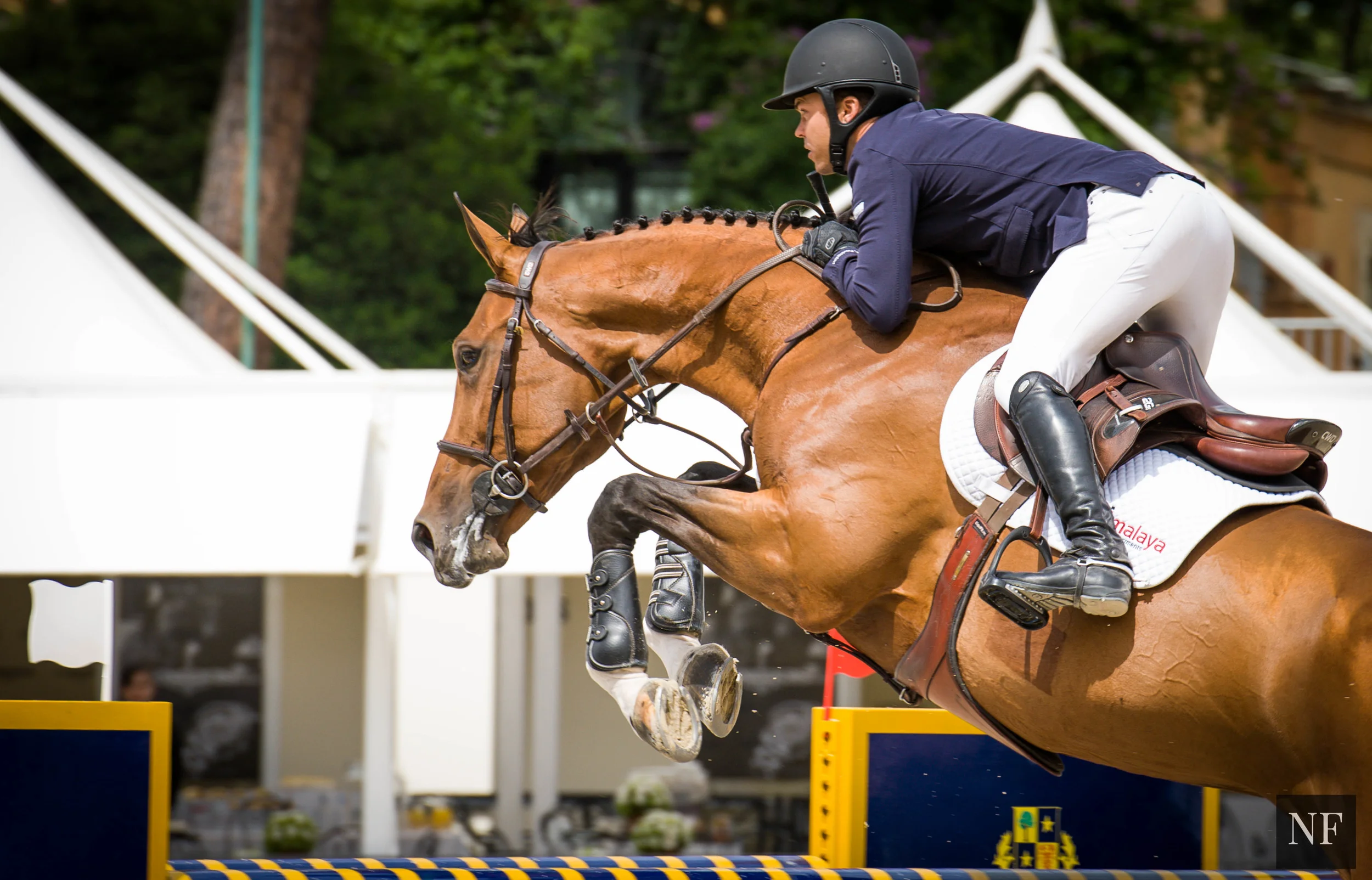 Kent Farrington and Waomi