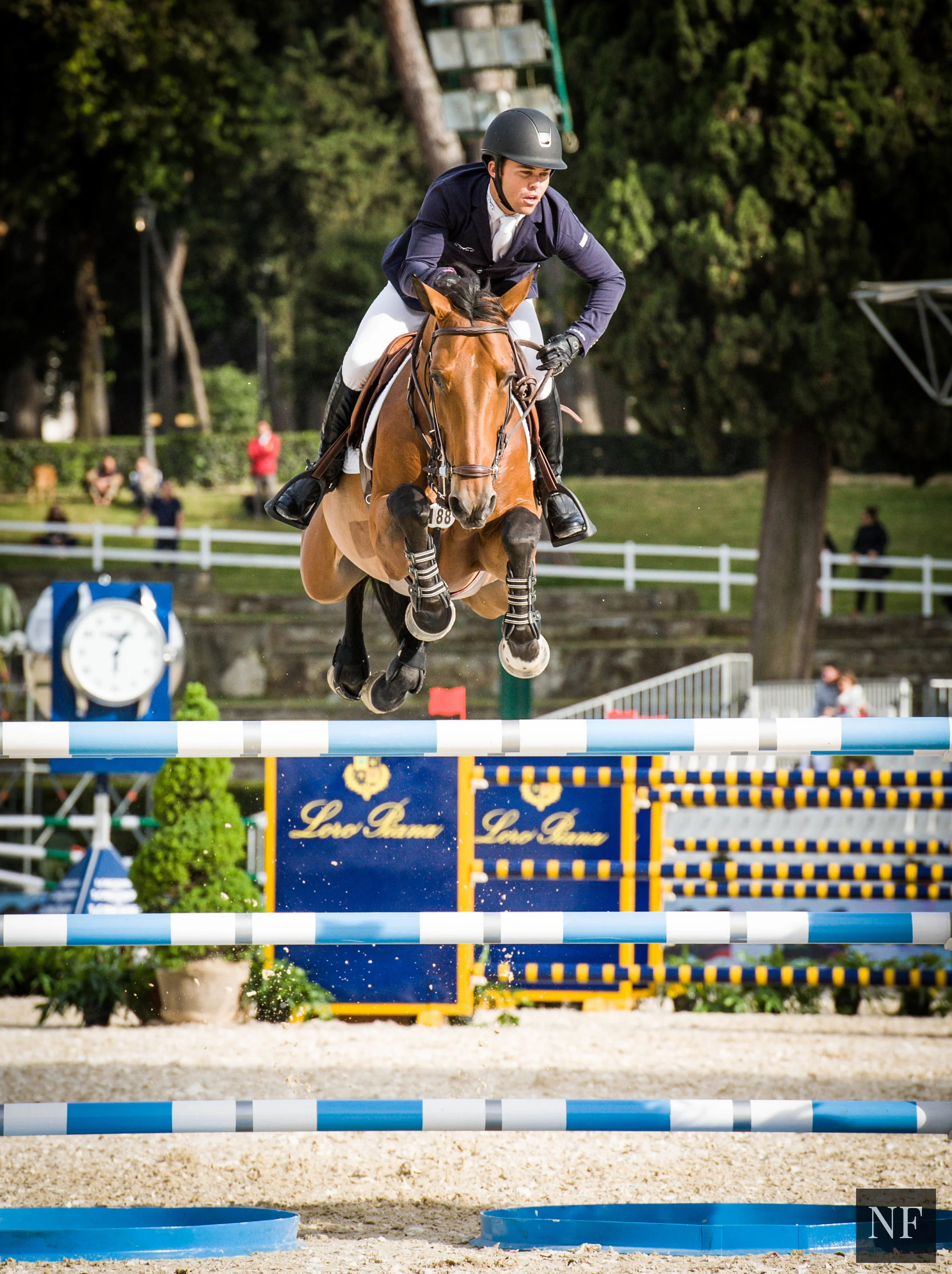 Kent Farrington and Gazelle