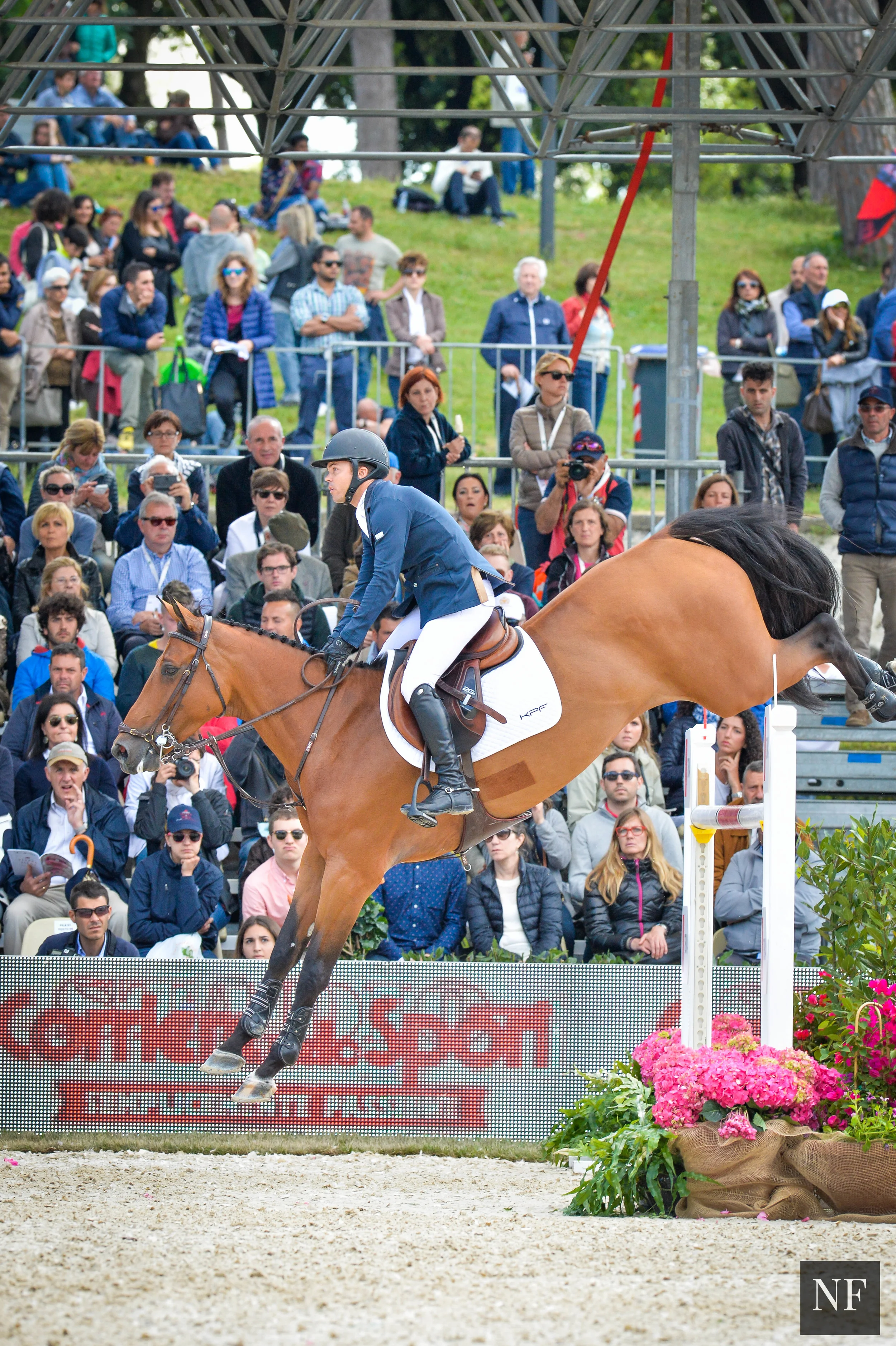 Kent Farrington and Gazelle