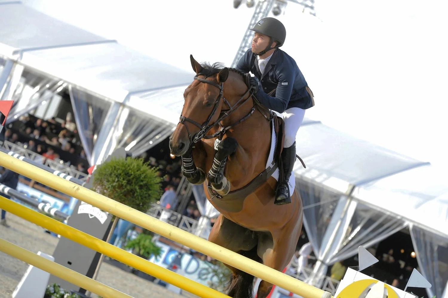 Kent Farrington and Gazelle