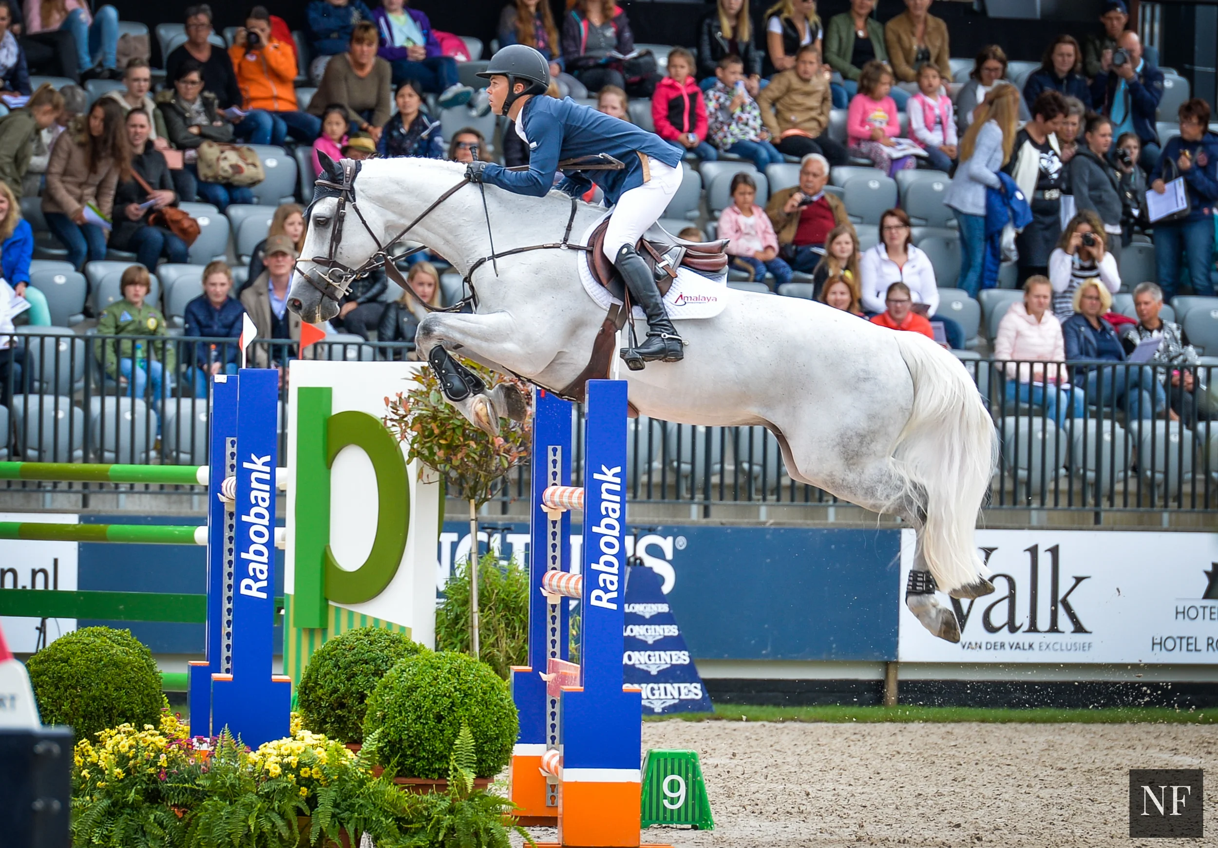 Kent Farrington and Willow