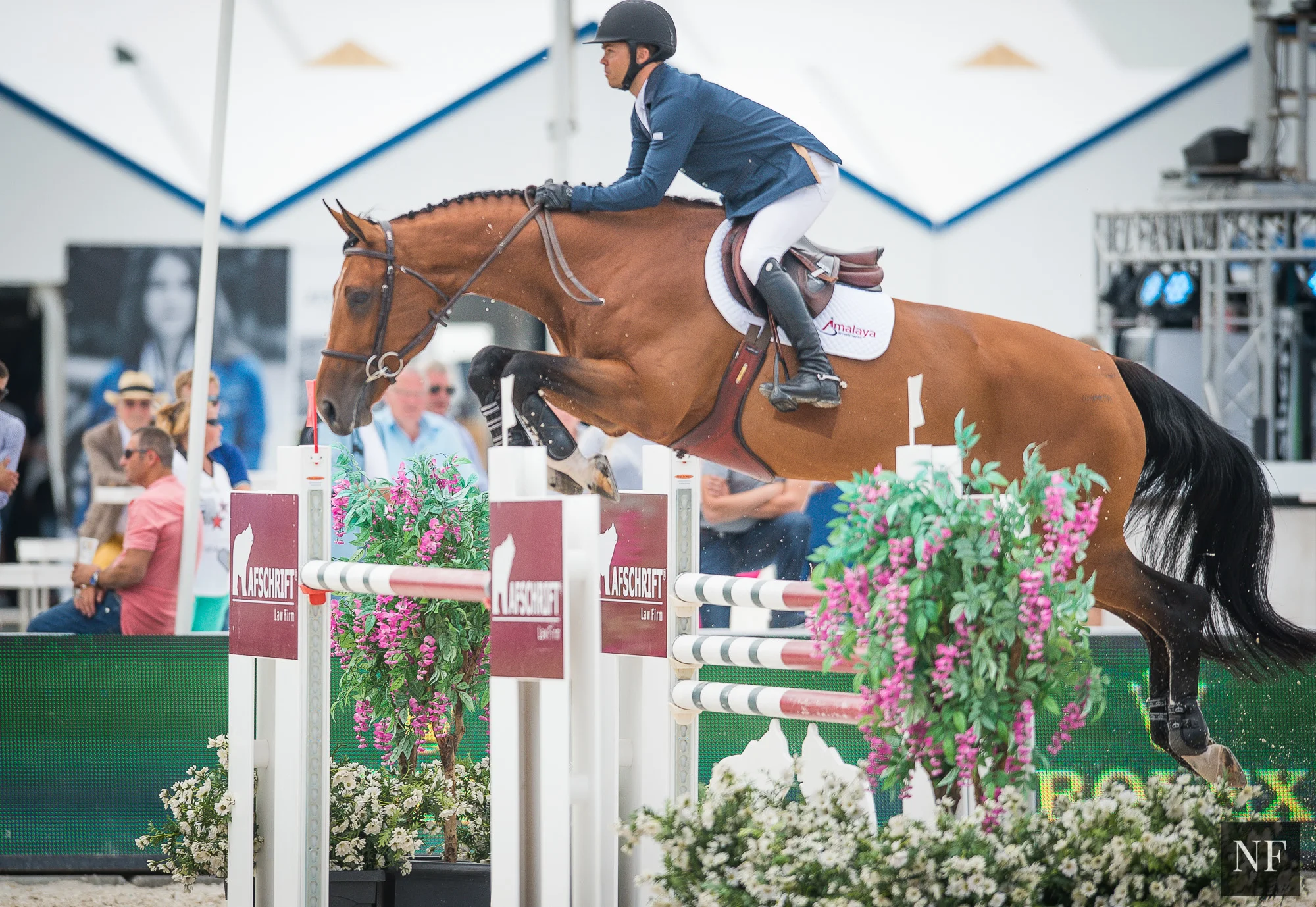 Kent Farrington and Waomi