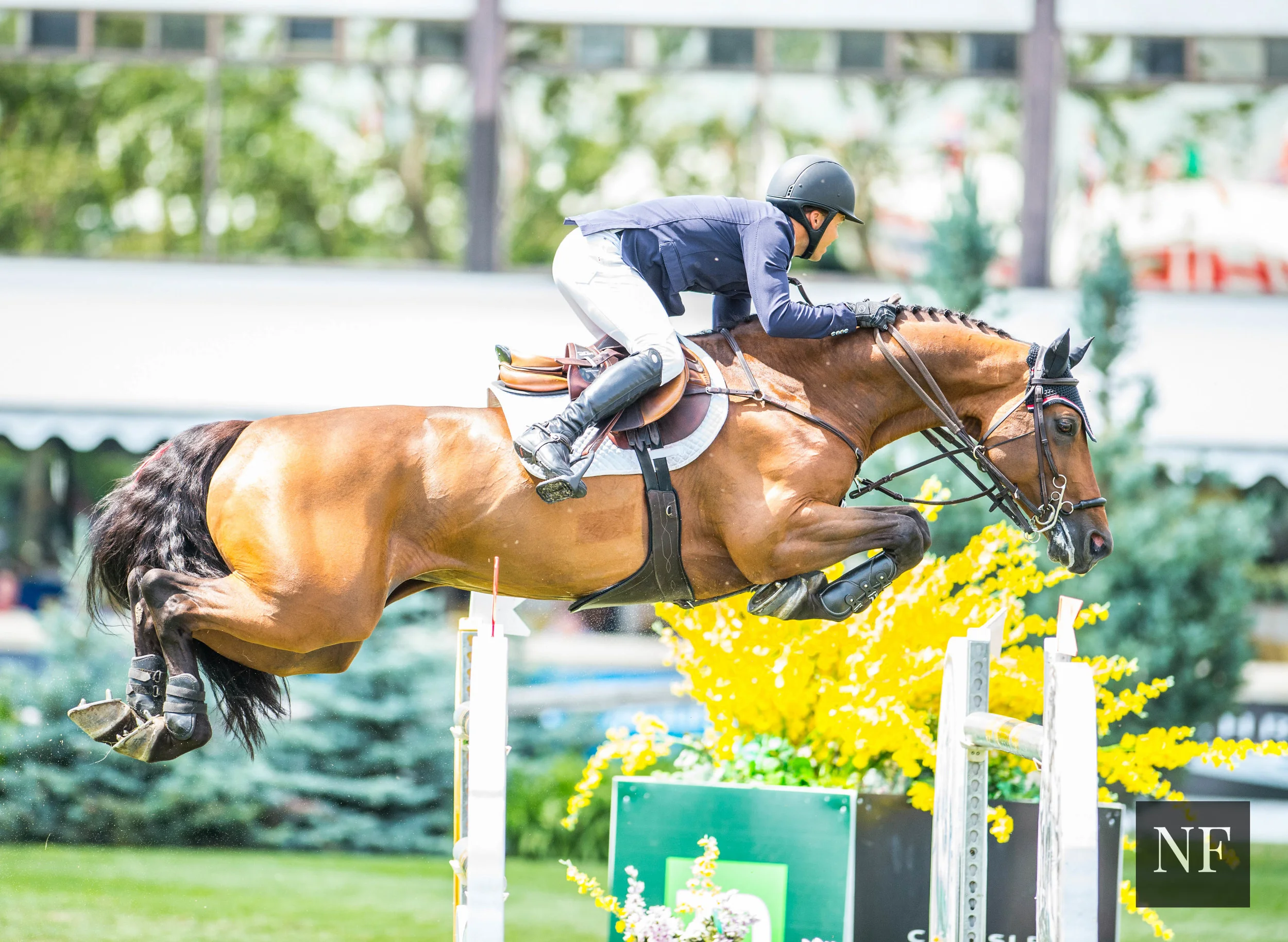 Kent Farrington and Voyeur