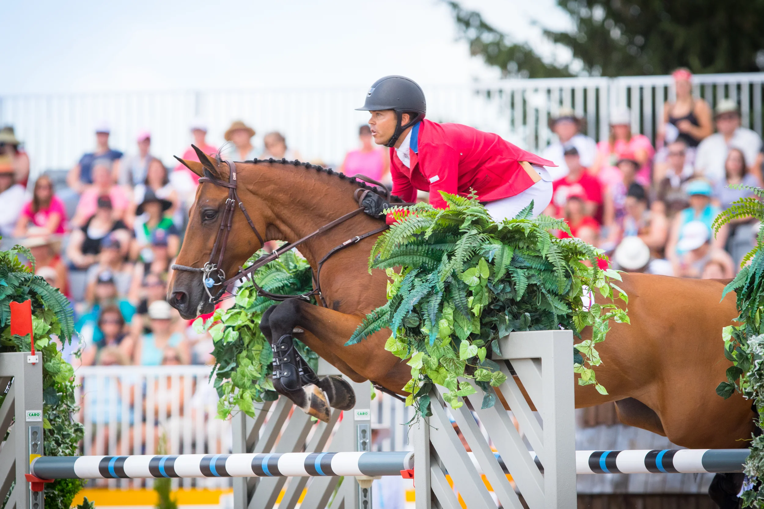 Kent Farrington and Gazelle Earn Team Bronze at 2015 Pan American Games