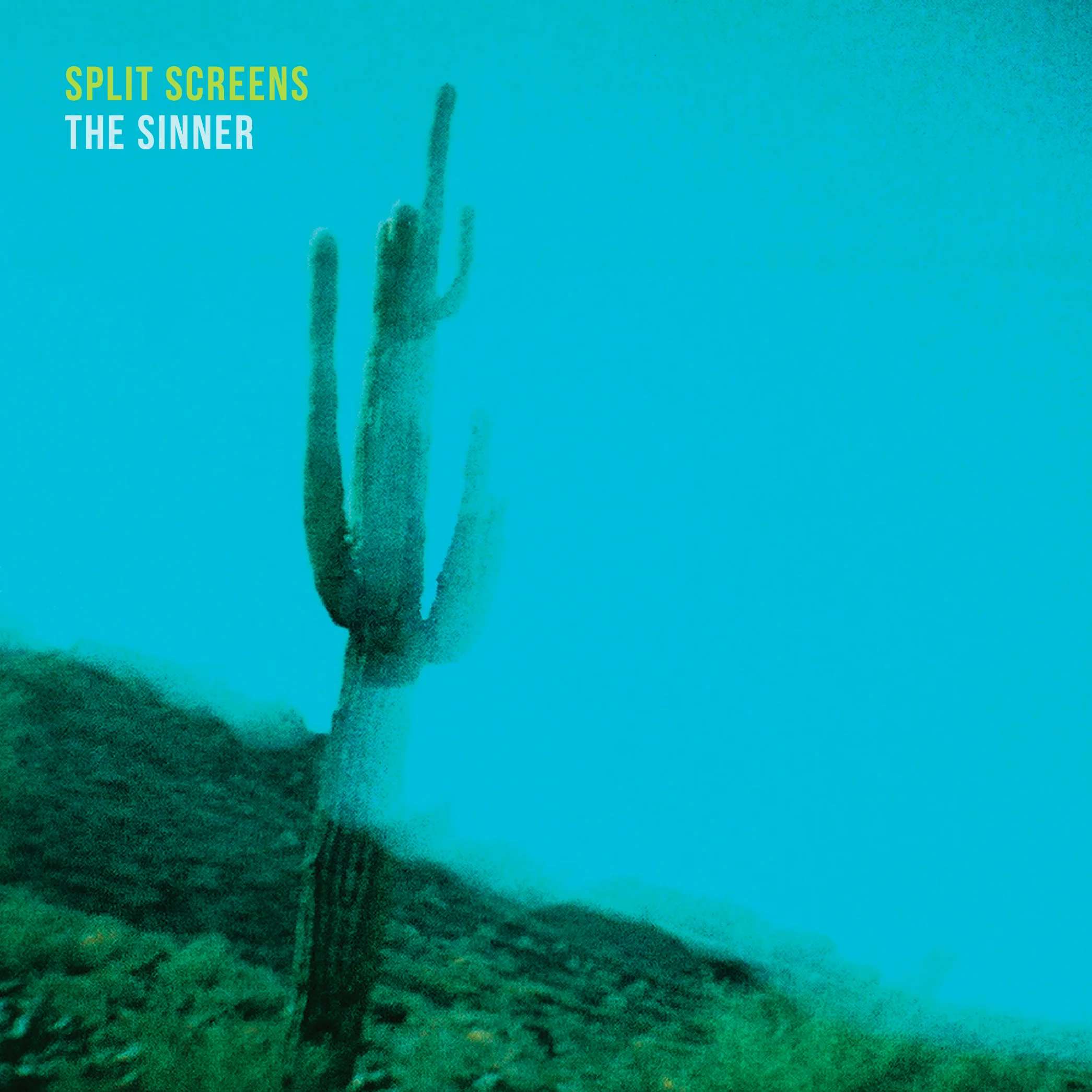 The Sinner Cover Art.jpg
