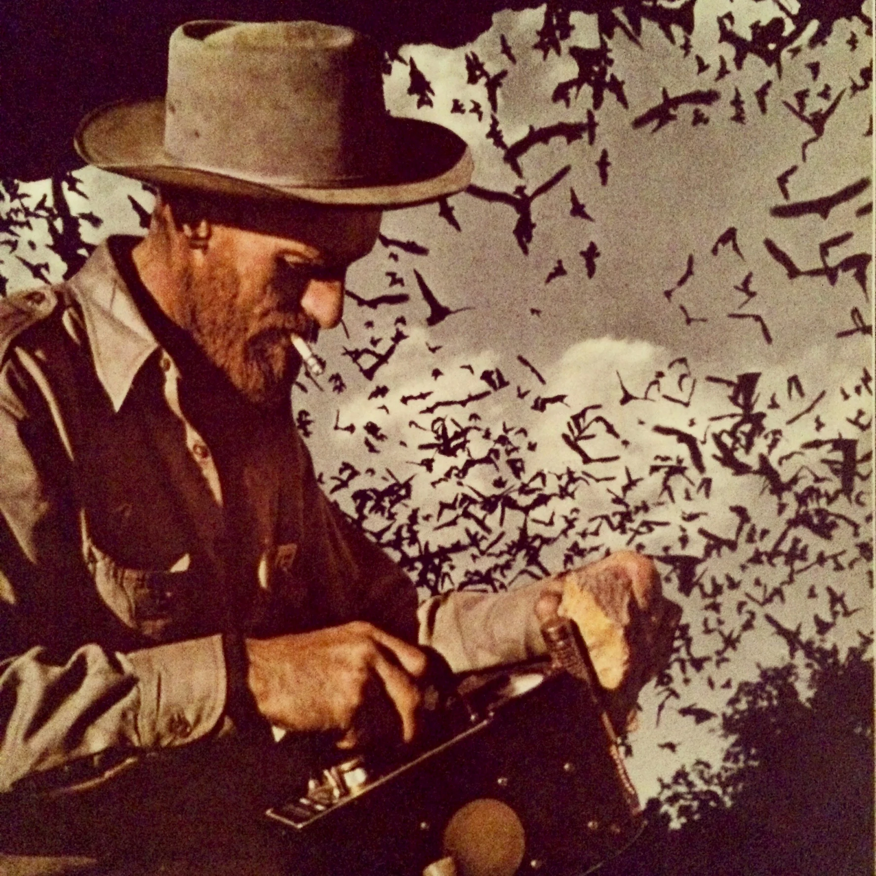 Black Pines Cover Art