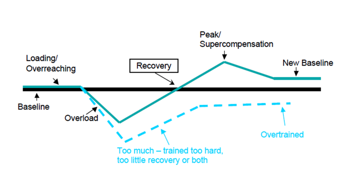 overtraining.png