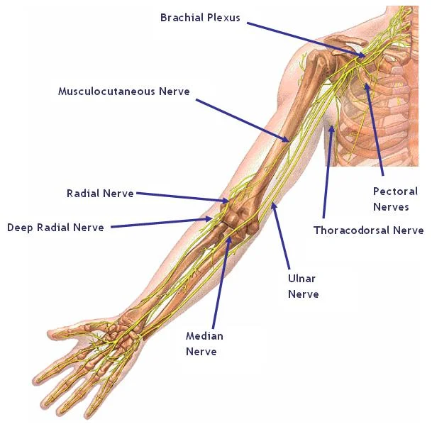 Source: Core Walking