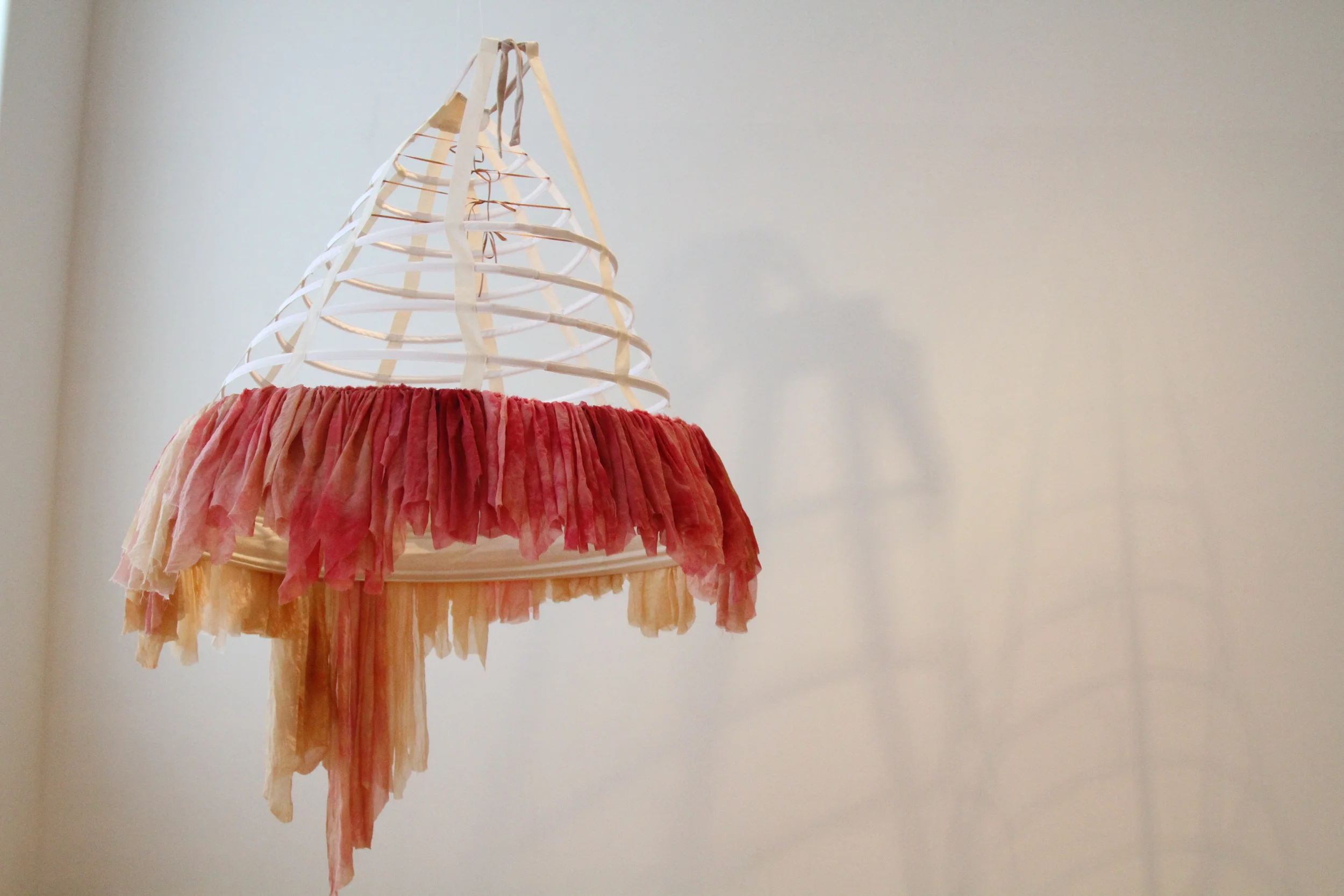 DF7D9821.JPG
