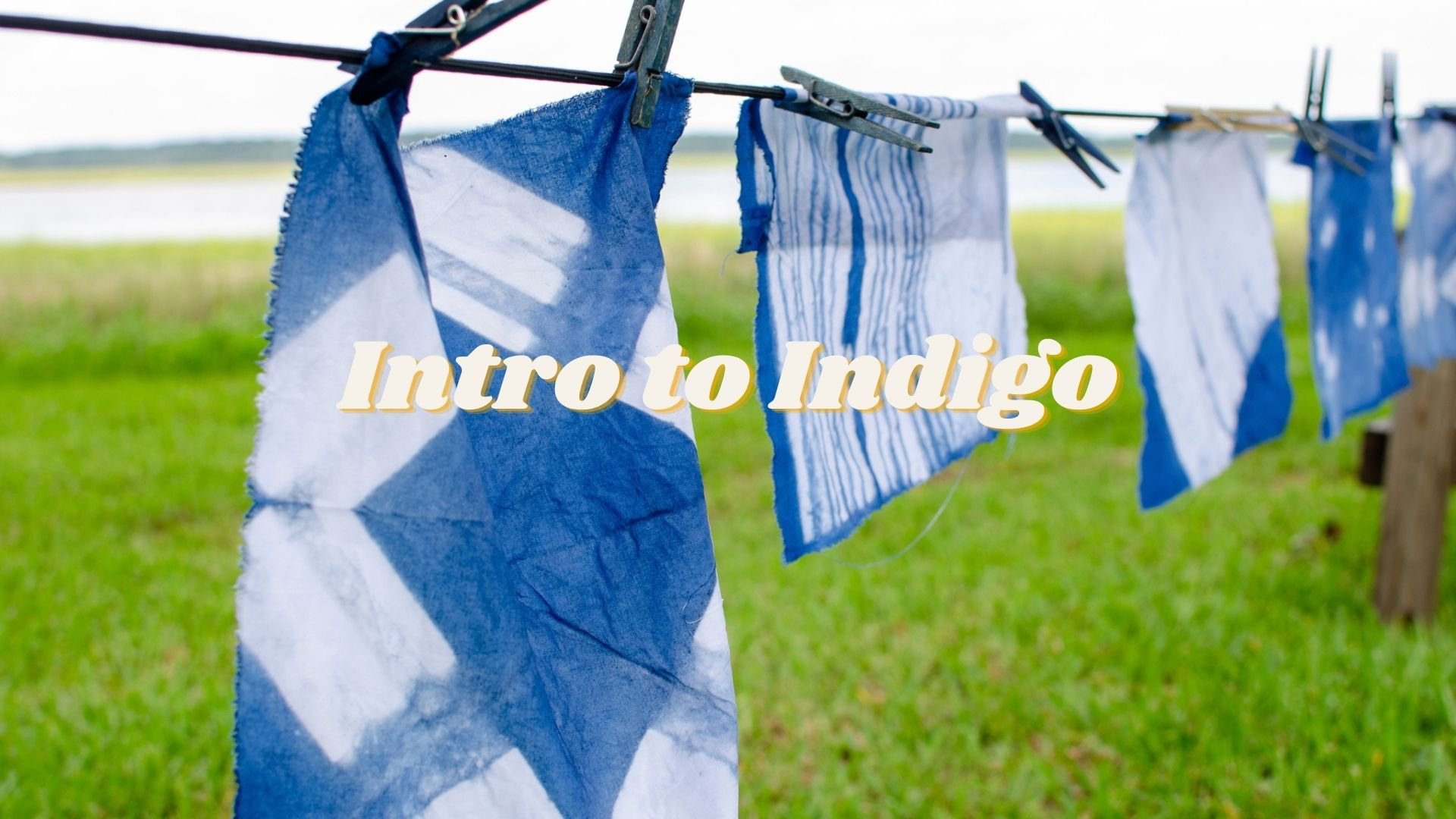 Intro to Natural Dyeing (1).jpg