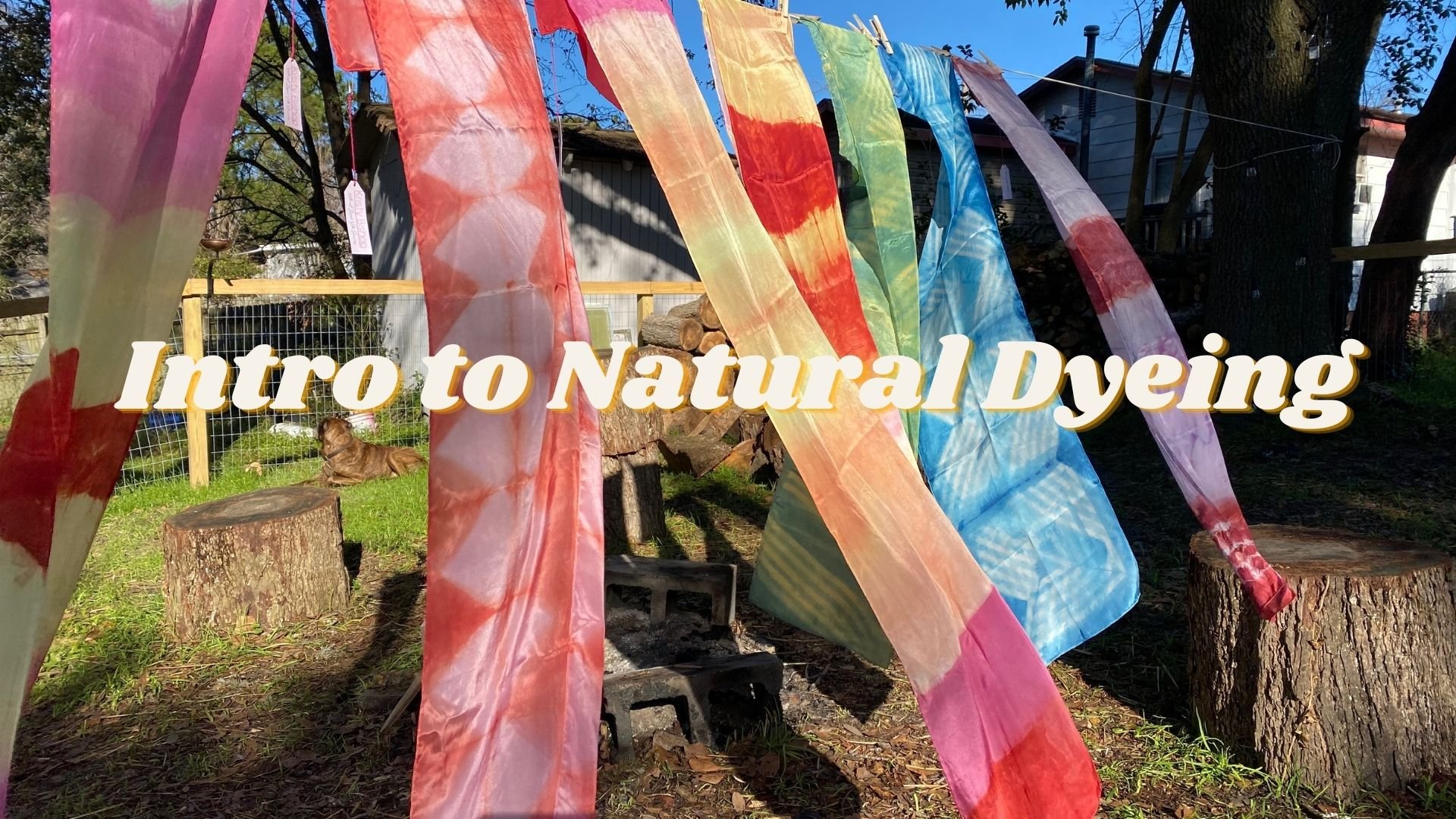 Intro to Natural Dyeing (2).jpg