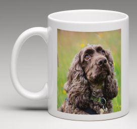 Personalise a gift with a pet portrait.