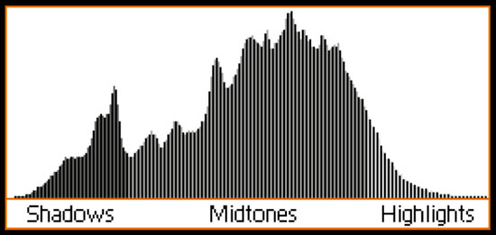 The histogram is a graphical representation of the brightness of each pixel. In this histogram there are far more midtone pixels than shadows and highlights.