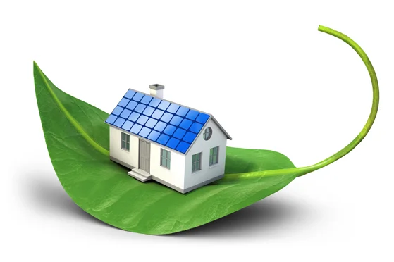 Building a Greener Home