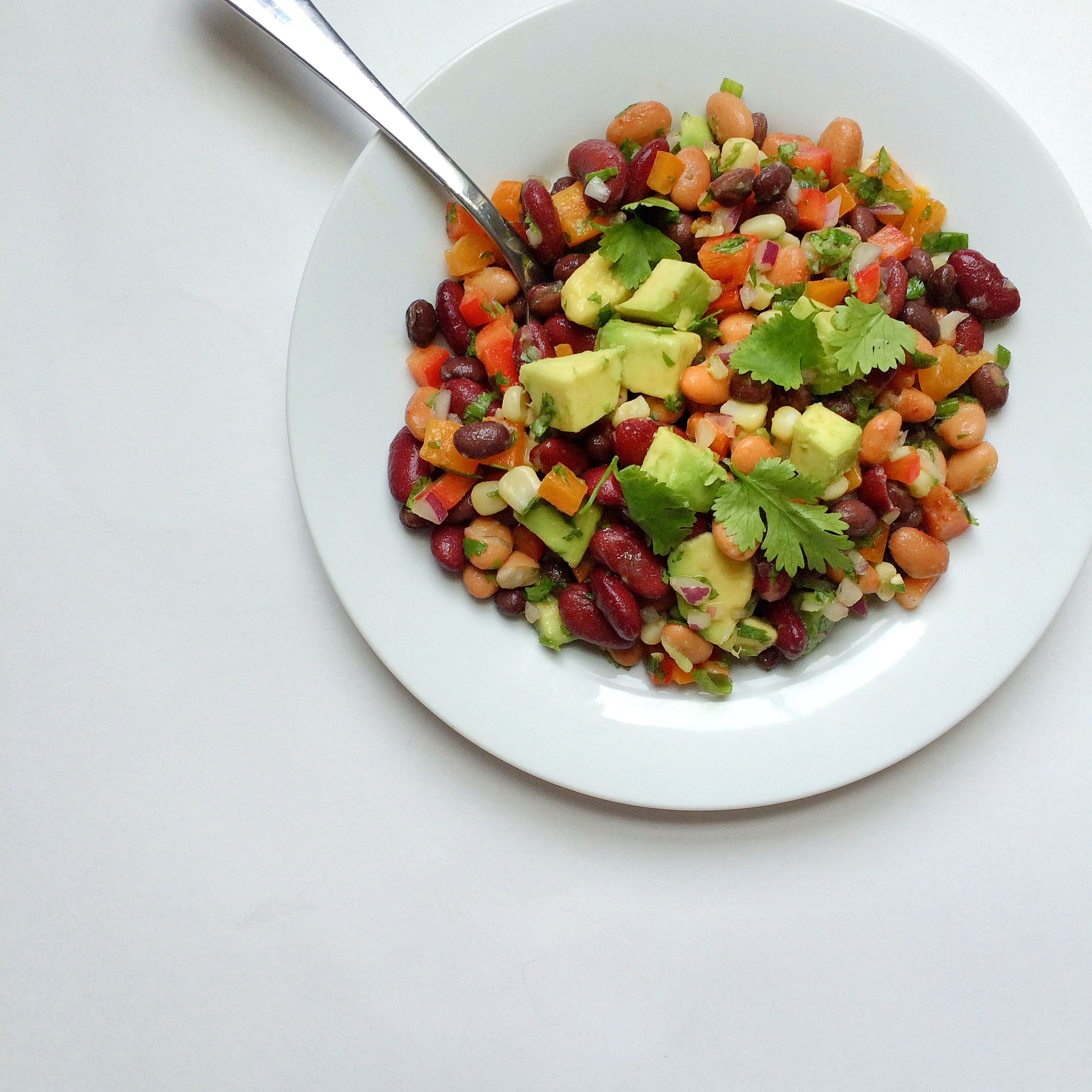 Healthy Three Bean Fiesta Salad + My Favorite Plant-Based Proteins ...