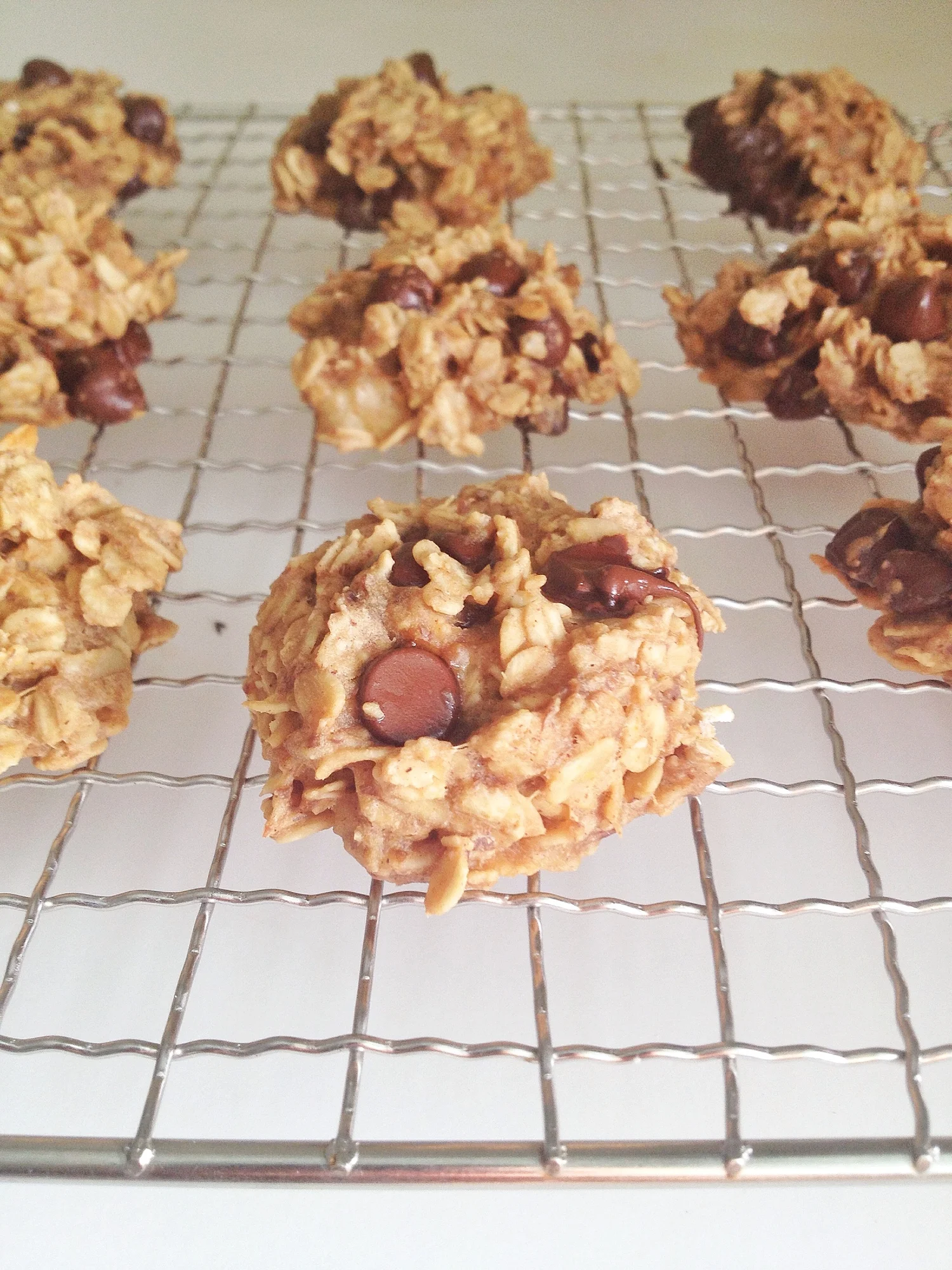 Peanut Butter Banana Oatmeal Cookies with Dark Chocolate Chips