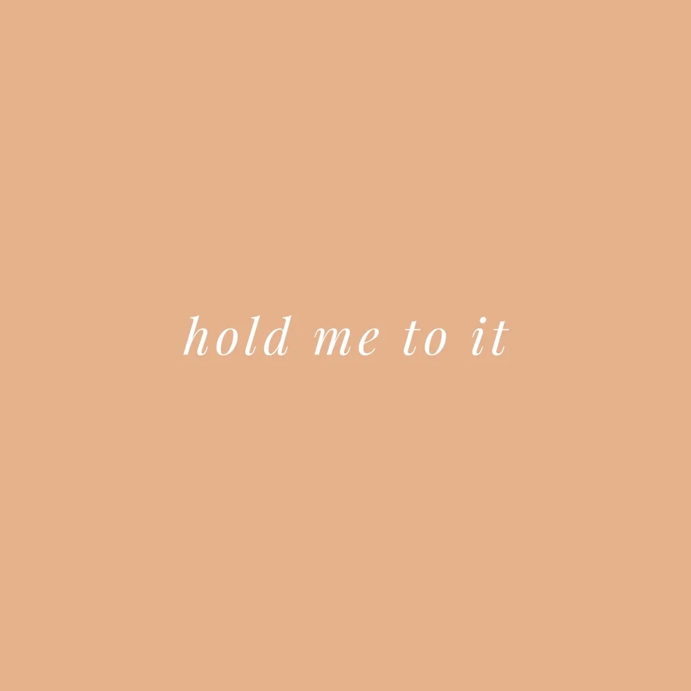 hold-me-to-it.jpg