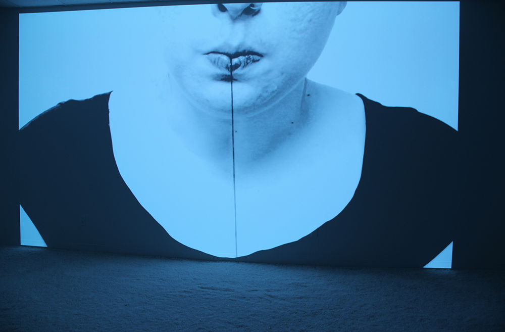 Installation view - Solo show 'Infliction', February 3-13, 2014, Lawrence Alloway Gallery, Stony Brook, NY