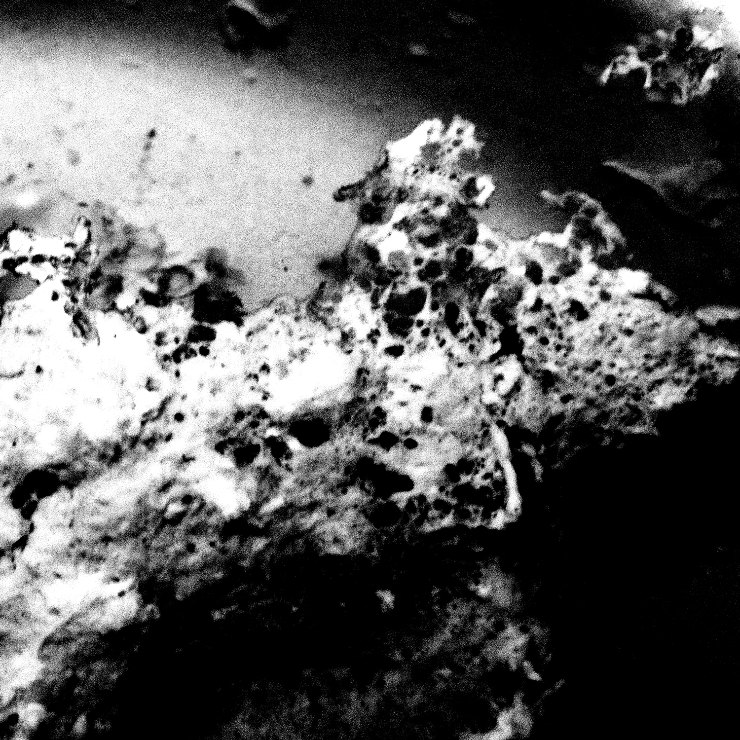 Untitled (lifted #2), 2013
