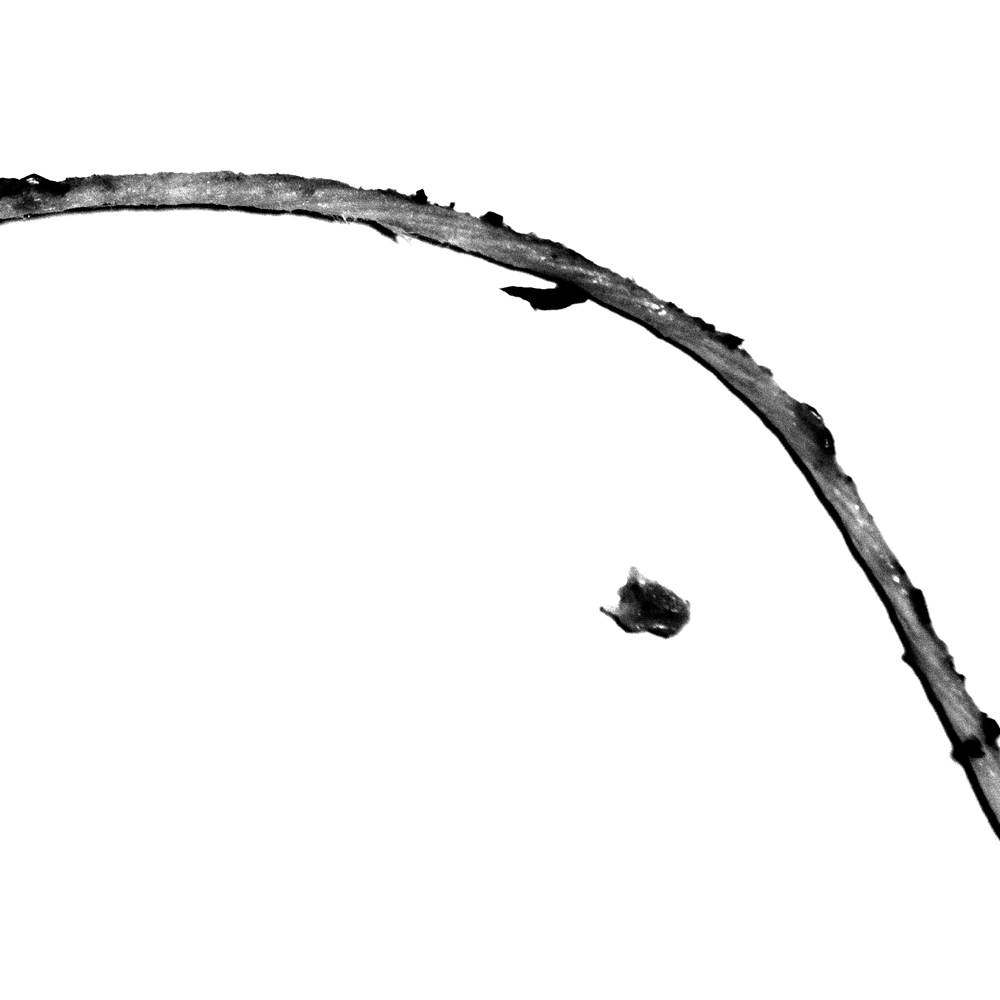 Untitled (strings #1), 2013