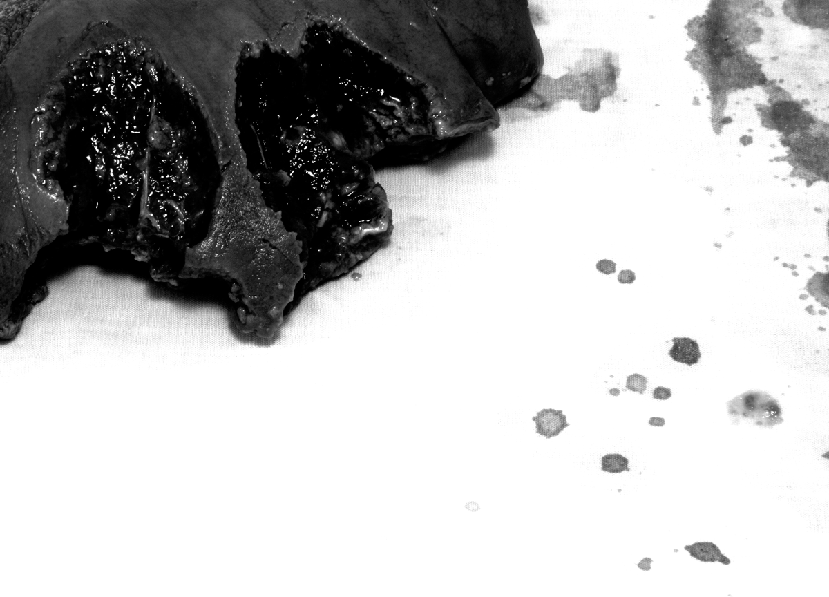 Untitled (bite #2), 2014