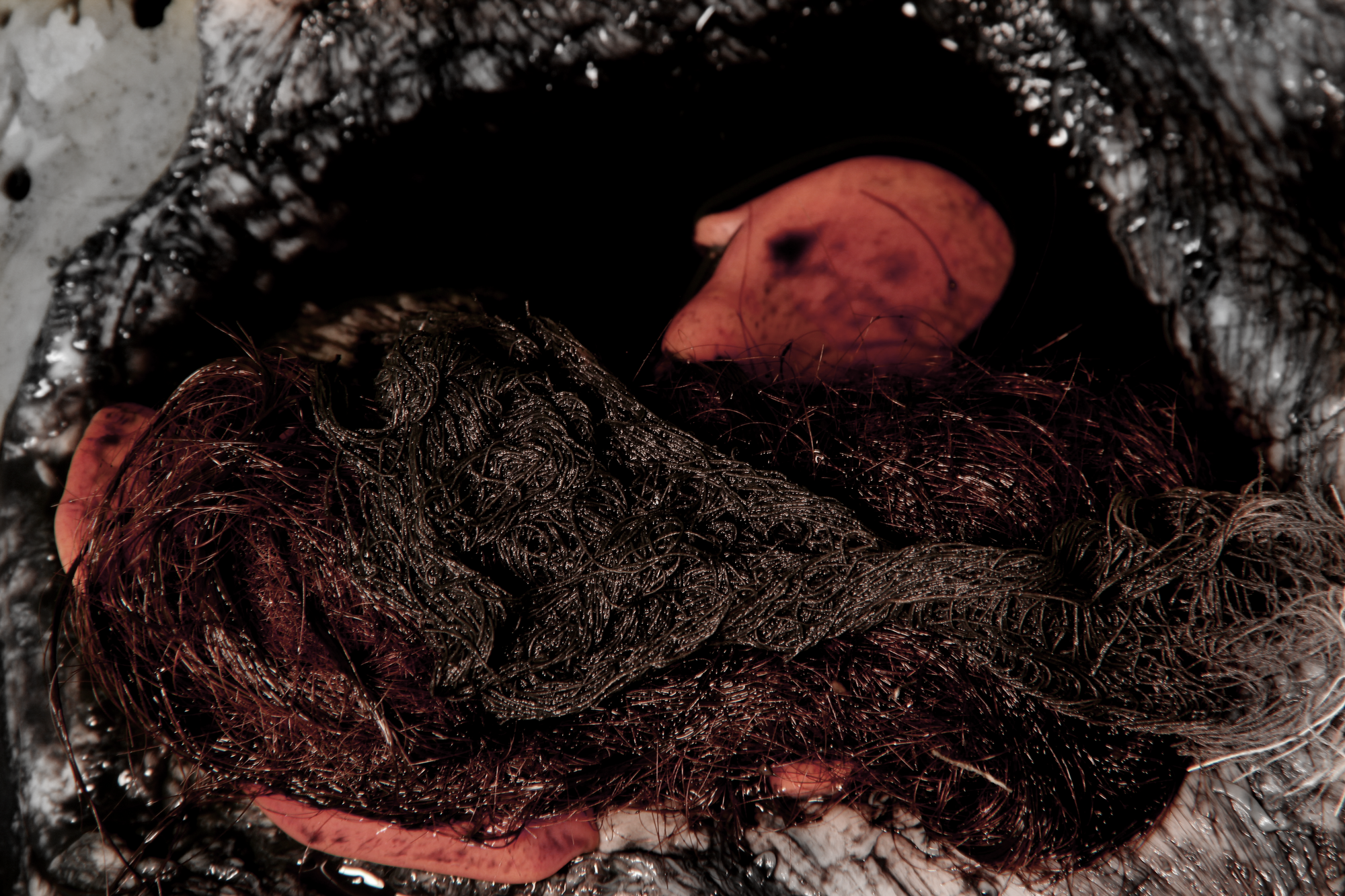 Untitled, 2014