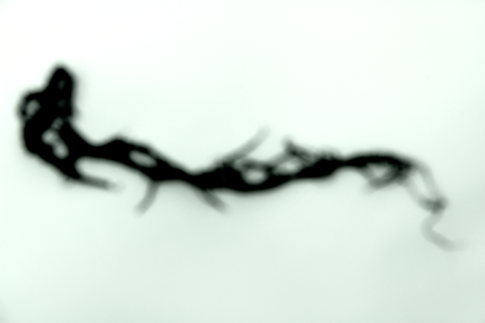 blurThread_1705.png