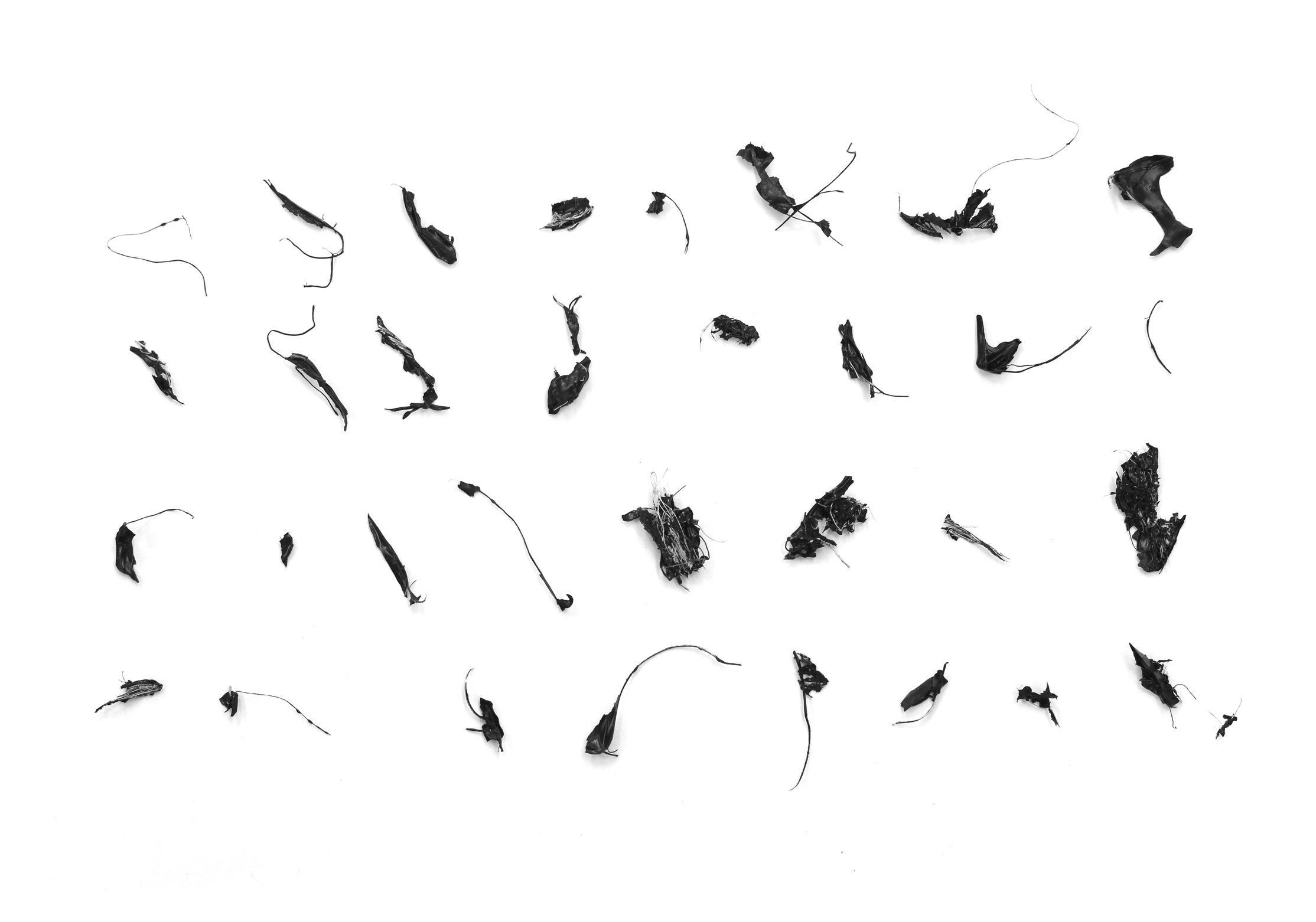 specimens_0298.png