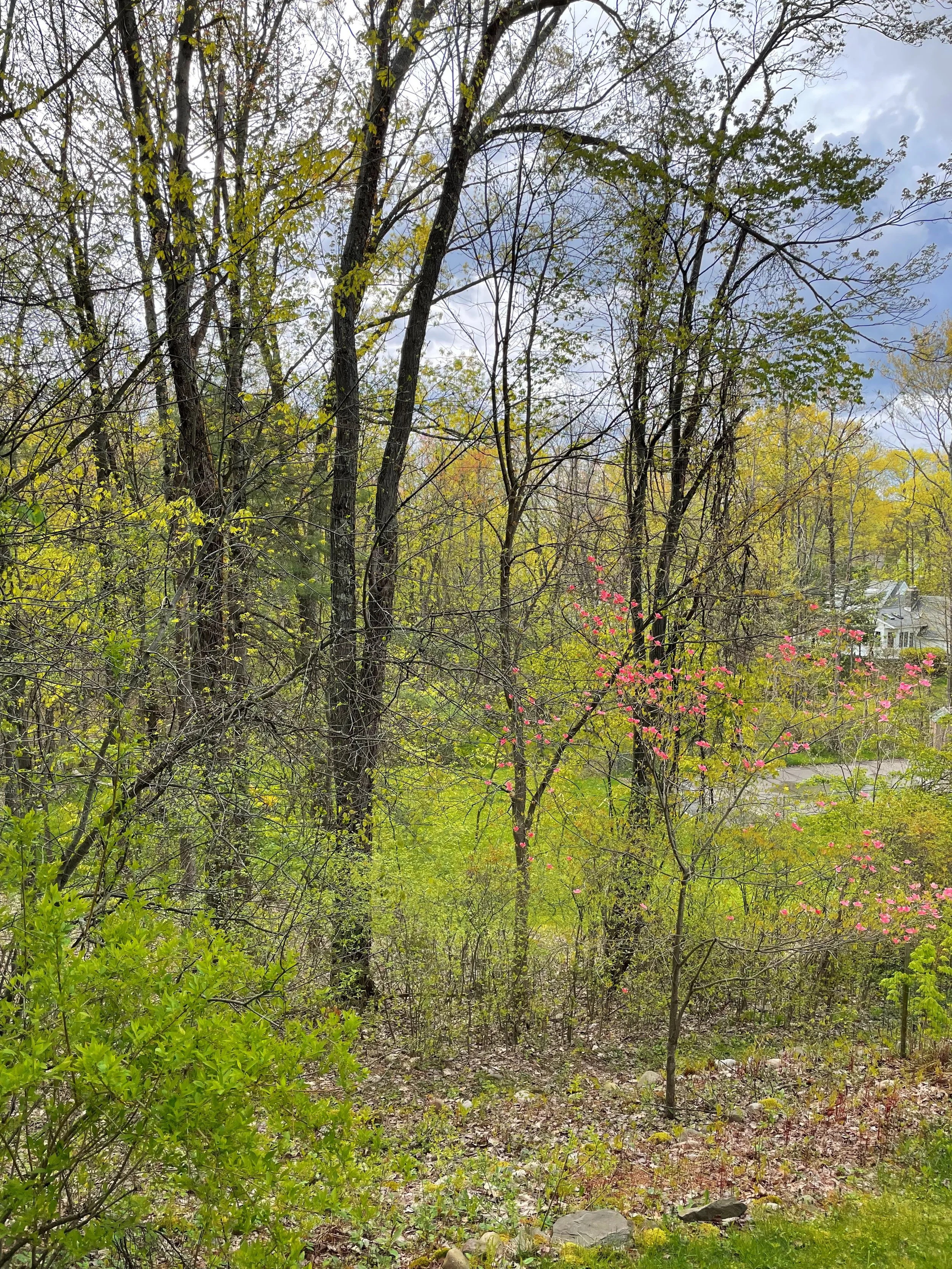 REVEIL 24+1 HOUR BROADCAST 2023