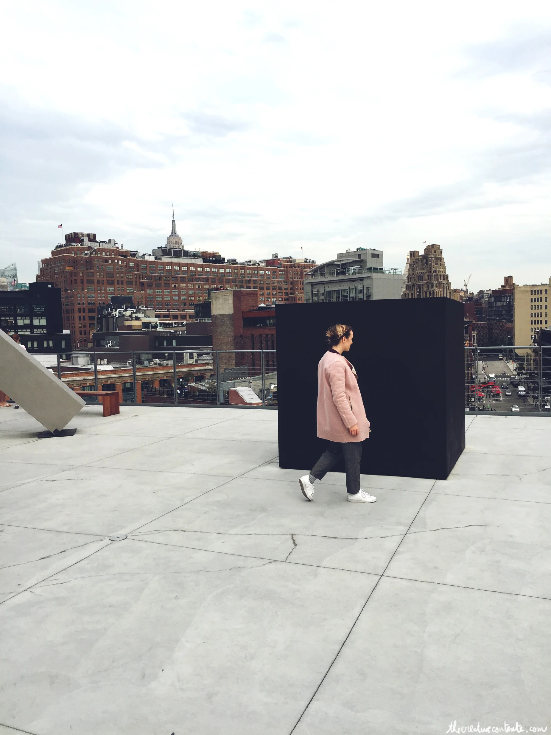 NYCWhitney5_www.thecreativecontente.com copie.jpg