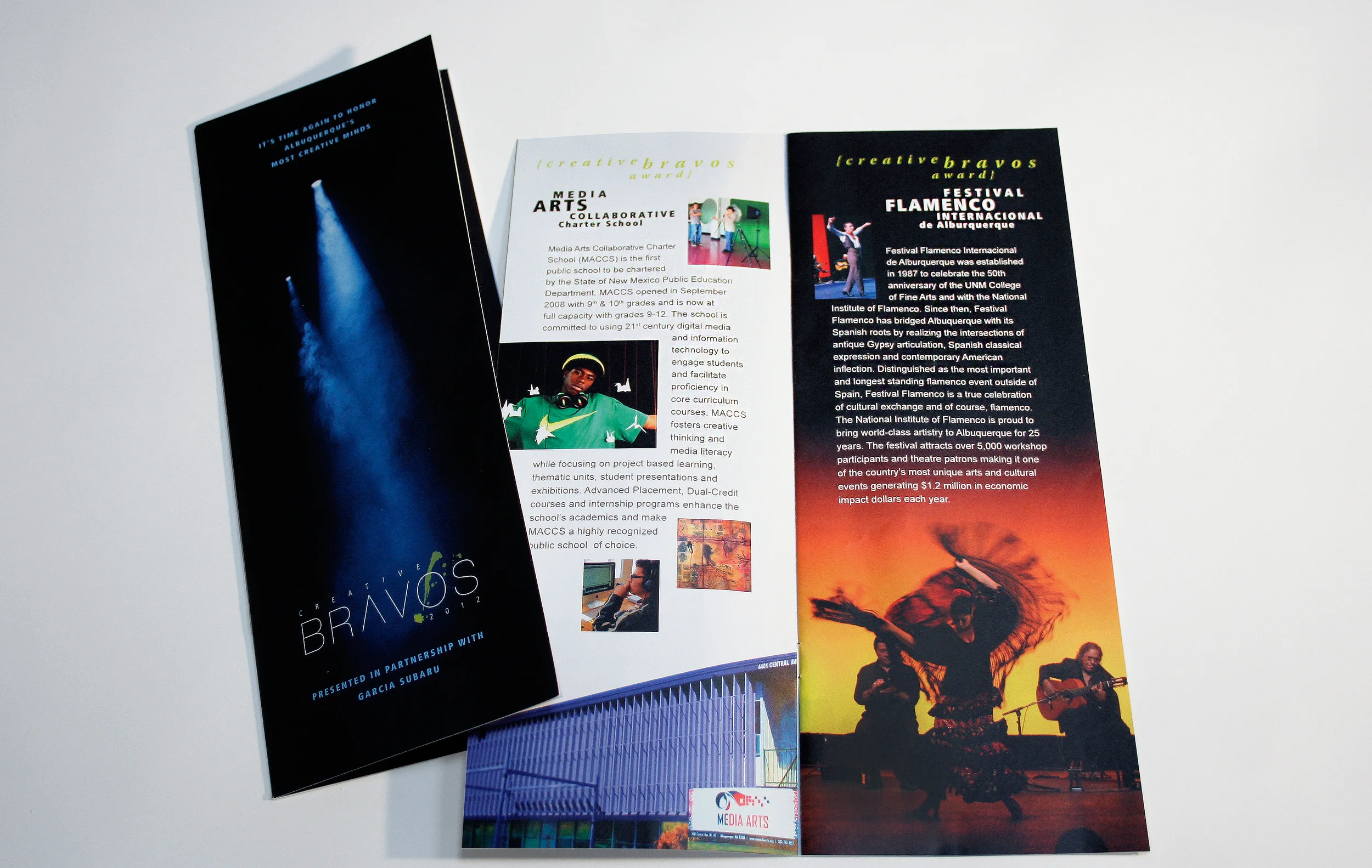 Bravos program_rtfull copy.jpg