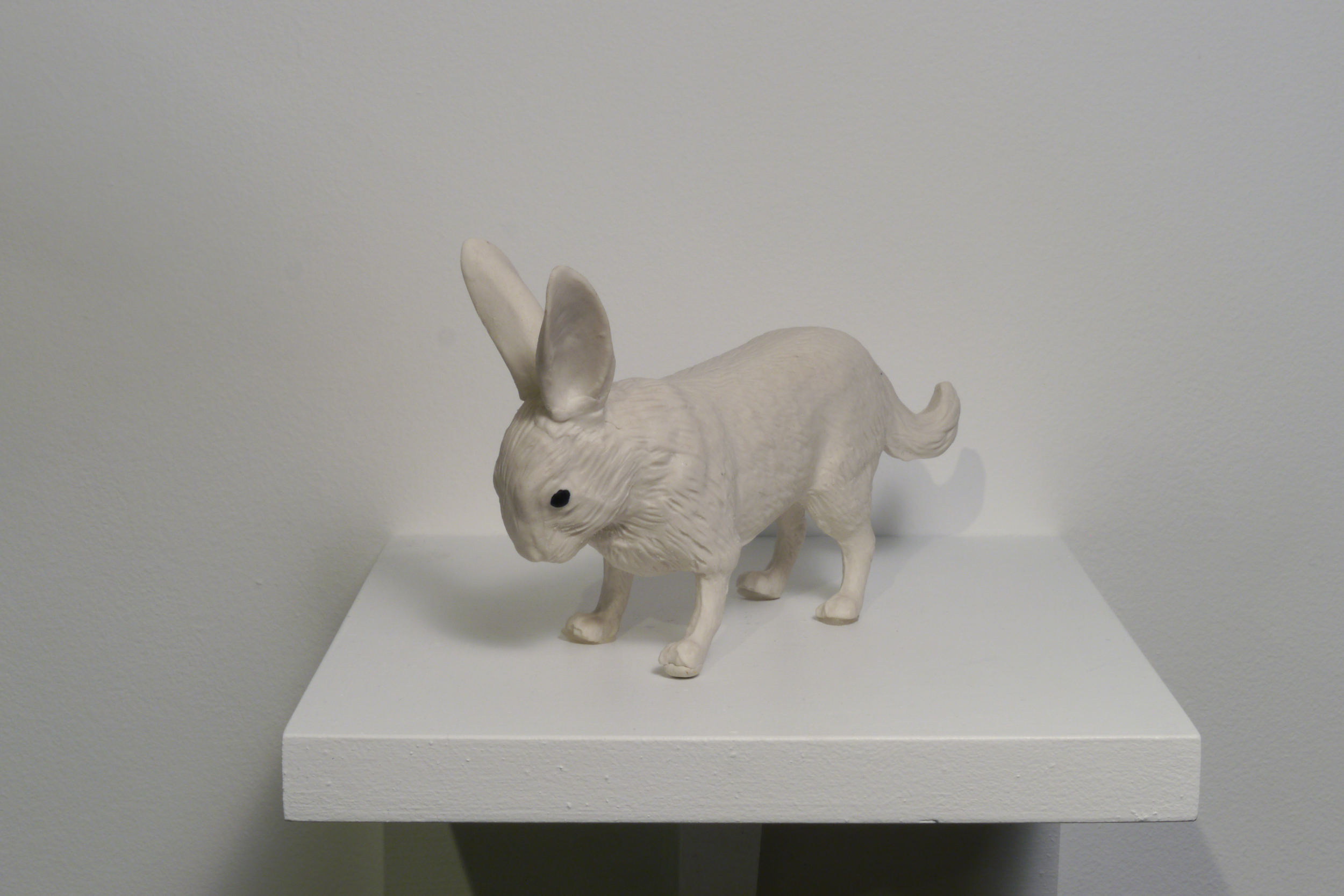 Rabbit Fox, 2015