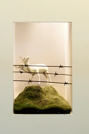 Flight Distance (detail), 2012