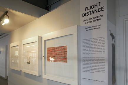 Flight Distance, 2010